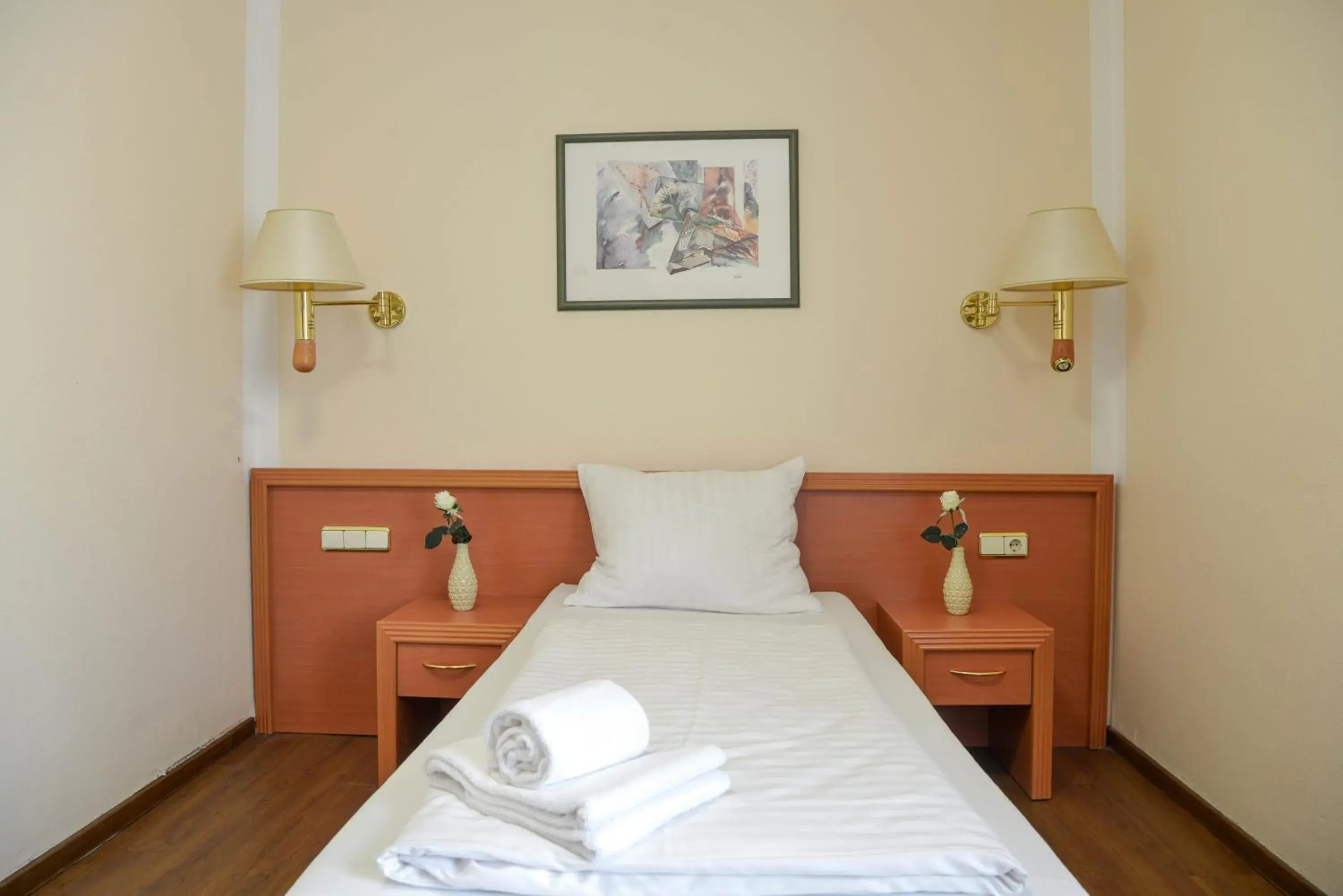 Single Room - single occupancy in Hotel Opal Single Room - single occupancy in Hotel Opal