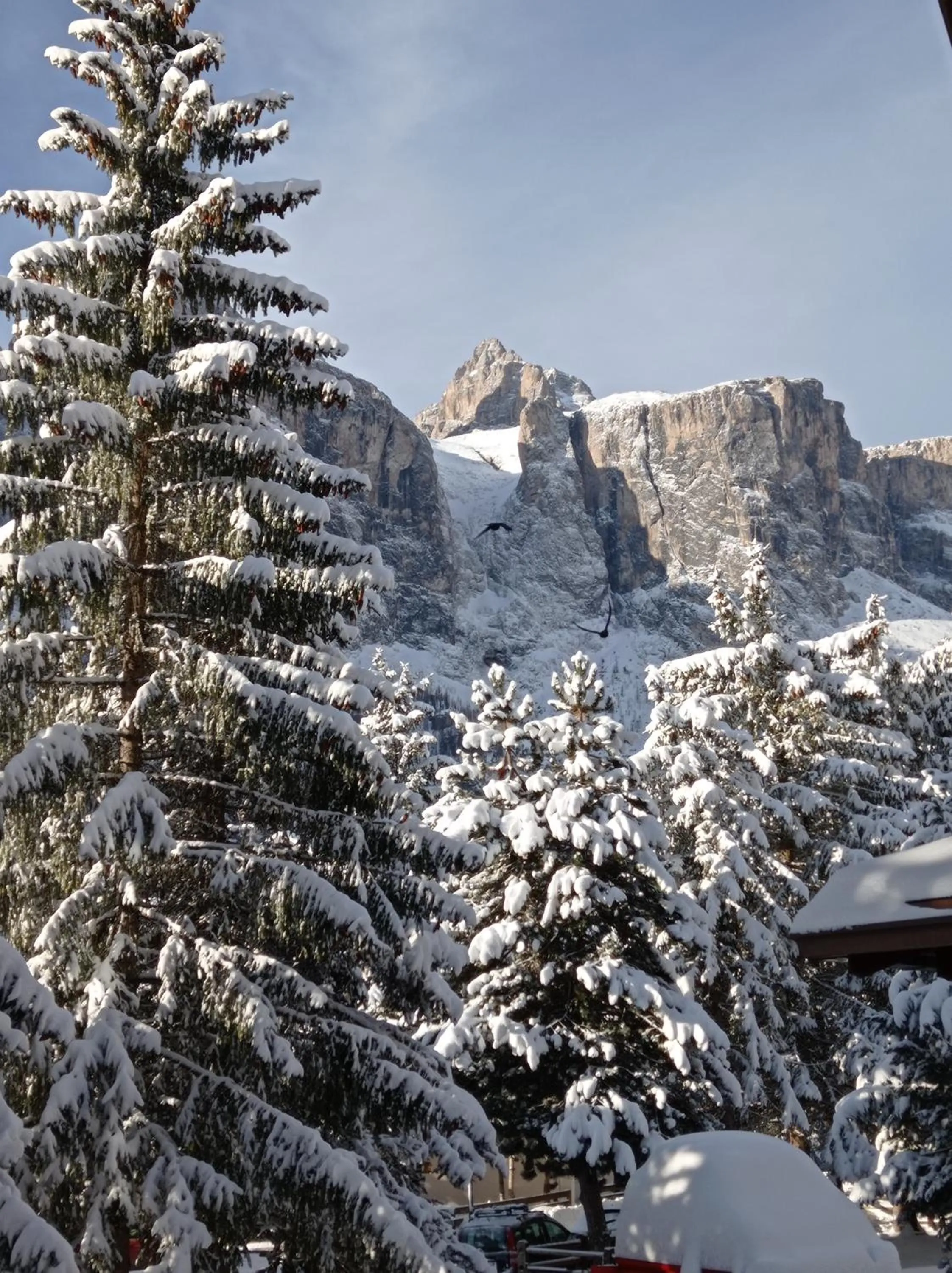 Natural landscape in Residence Arche Noah - Colfosco