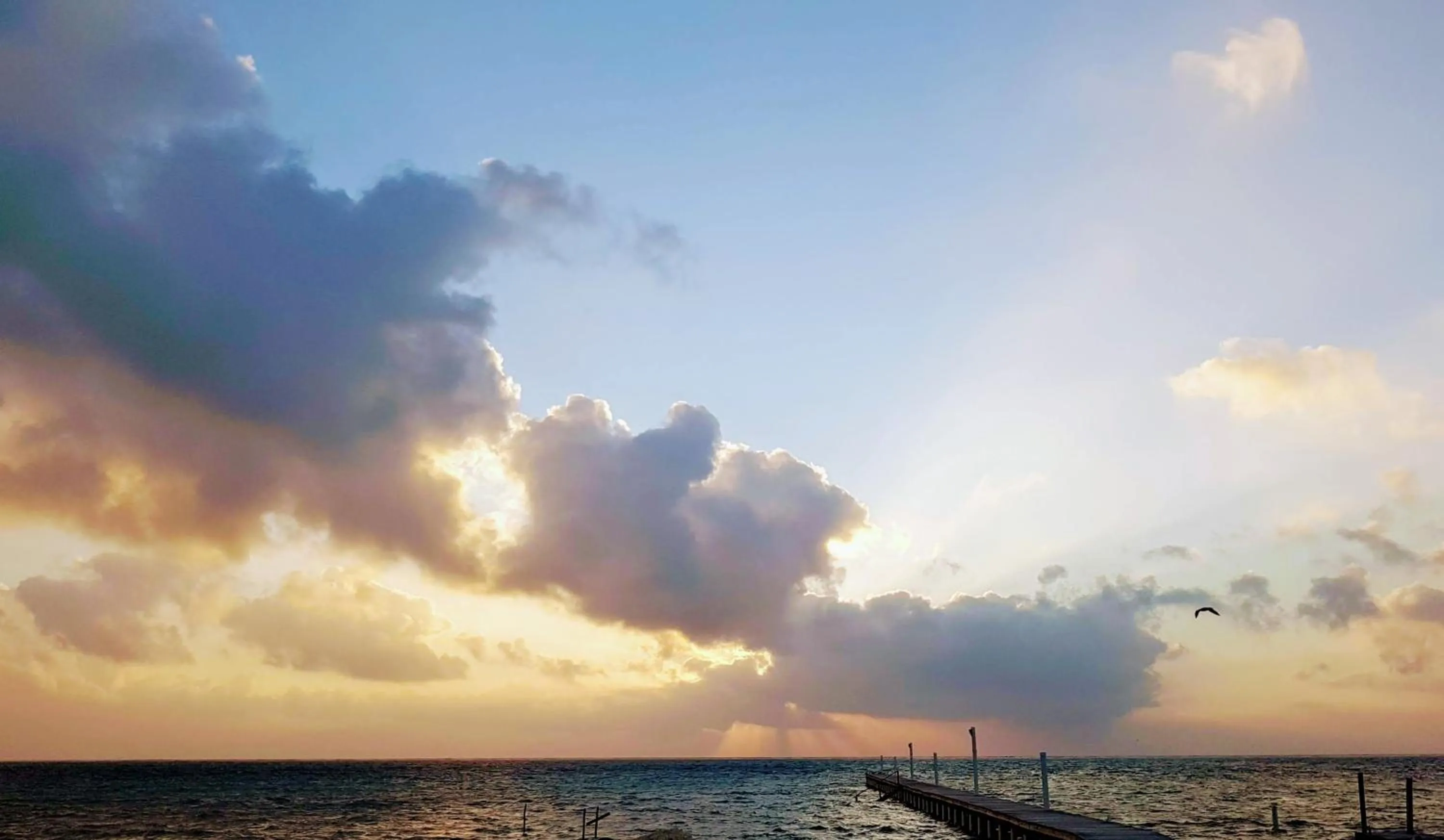 View (from property/room) in Royal Caribbean Resort