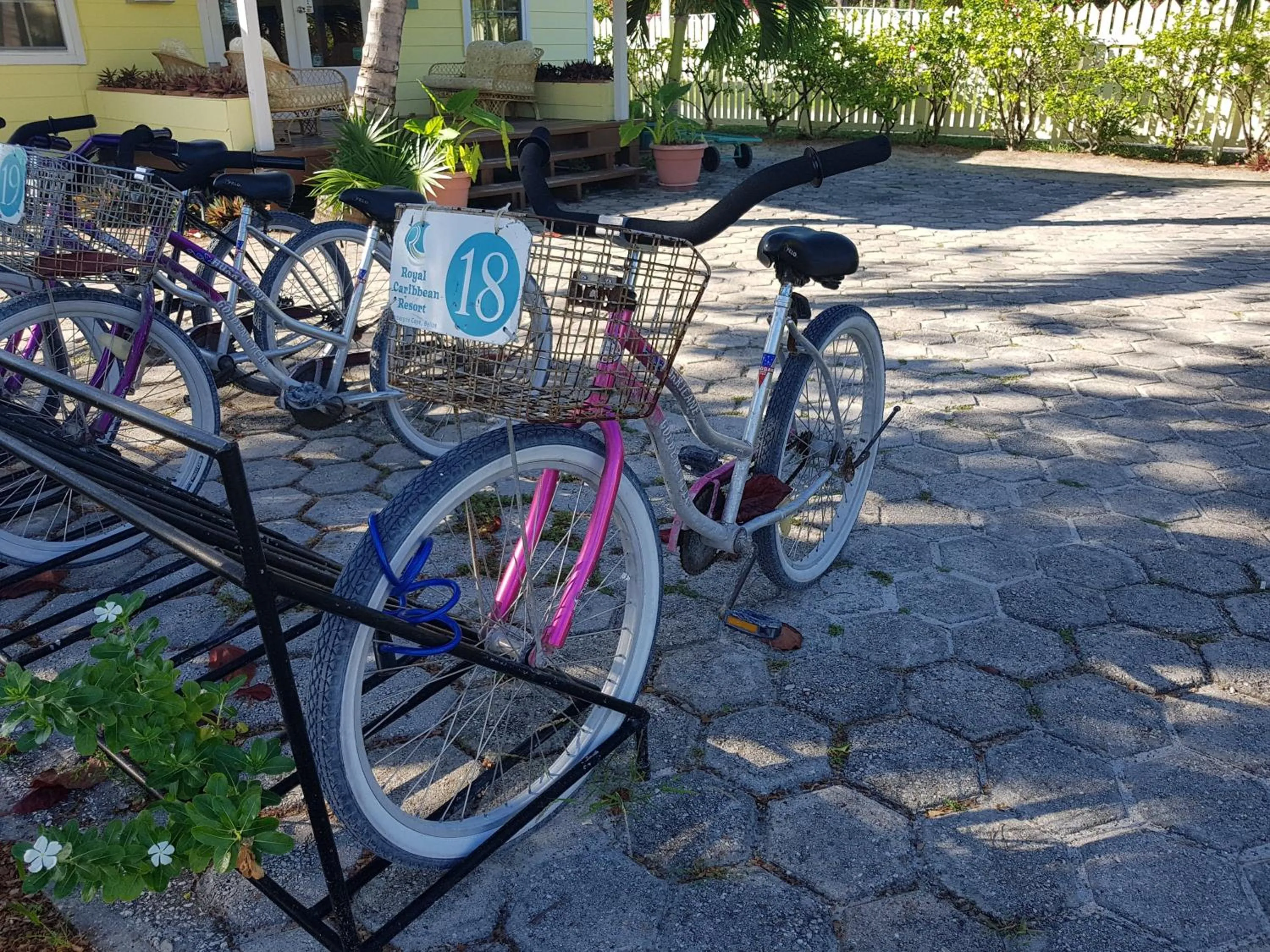 Cycling in Royal Caribbean Resort
