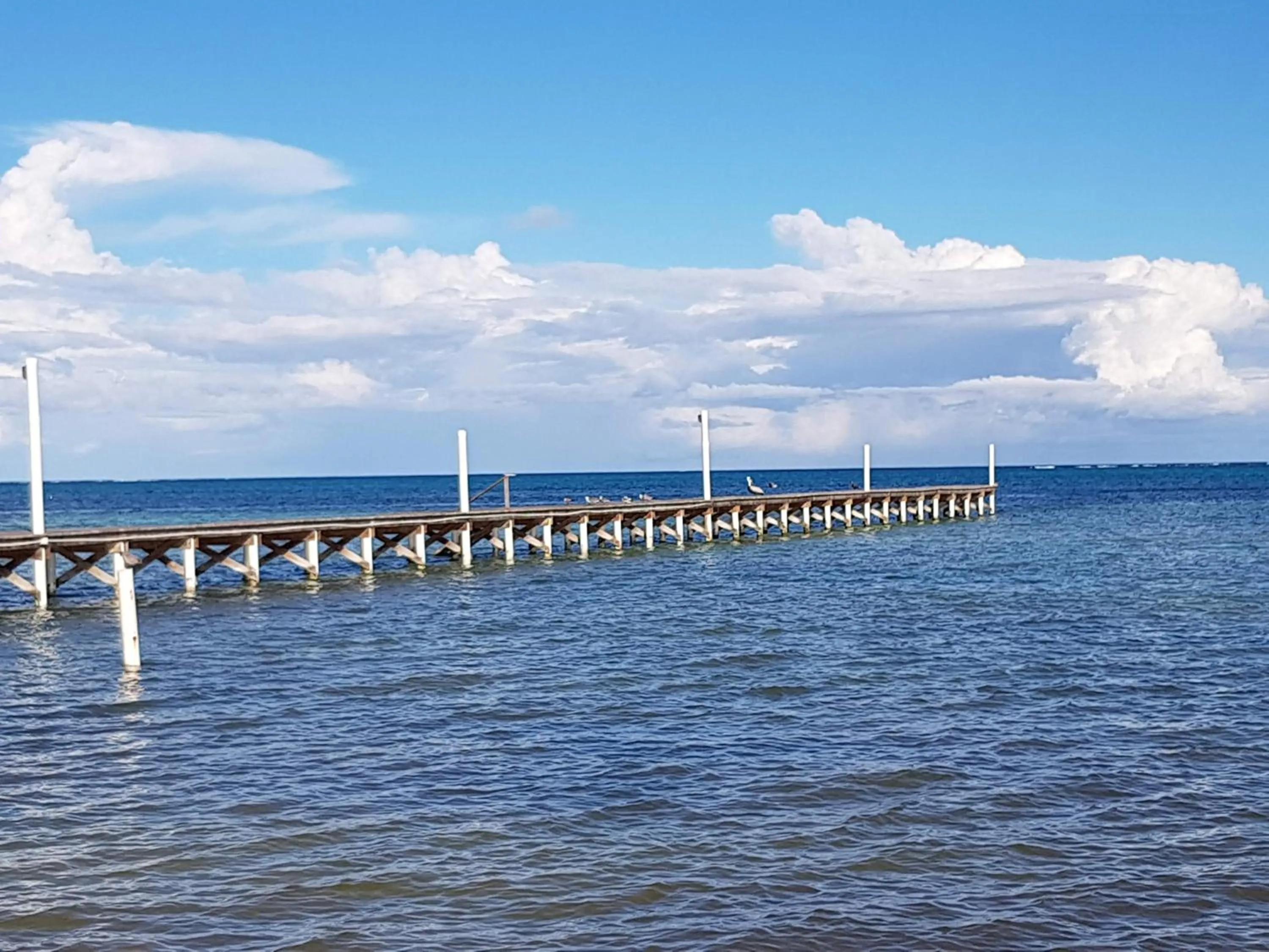 View (from property/room) in Royal Caribbean Resort