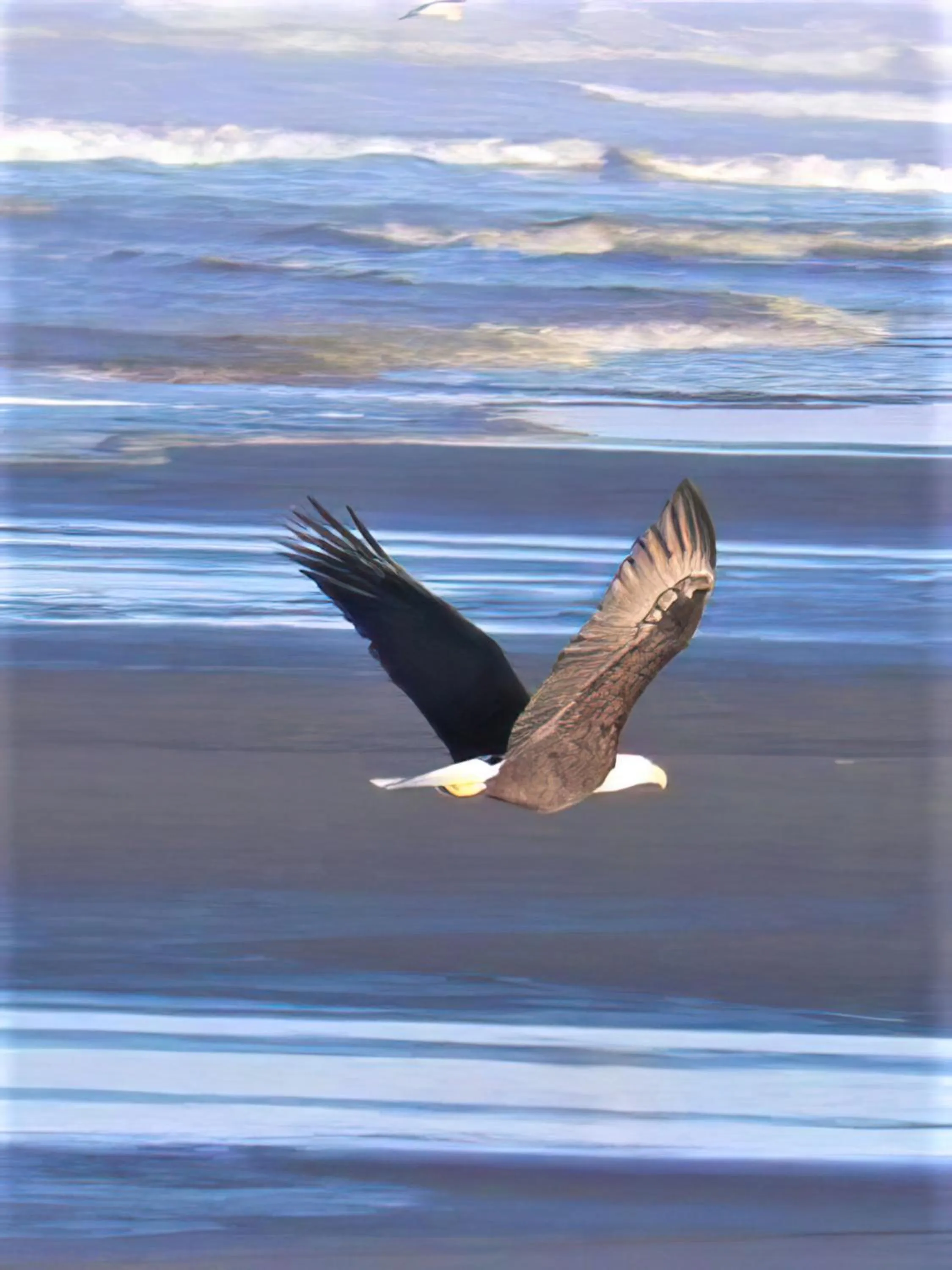 Chautauqua Resort & Conference Center