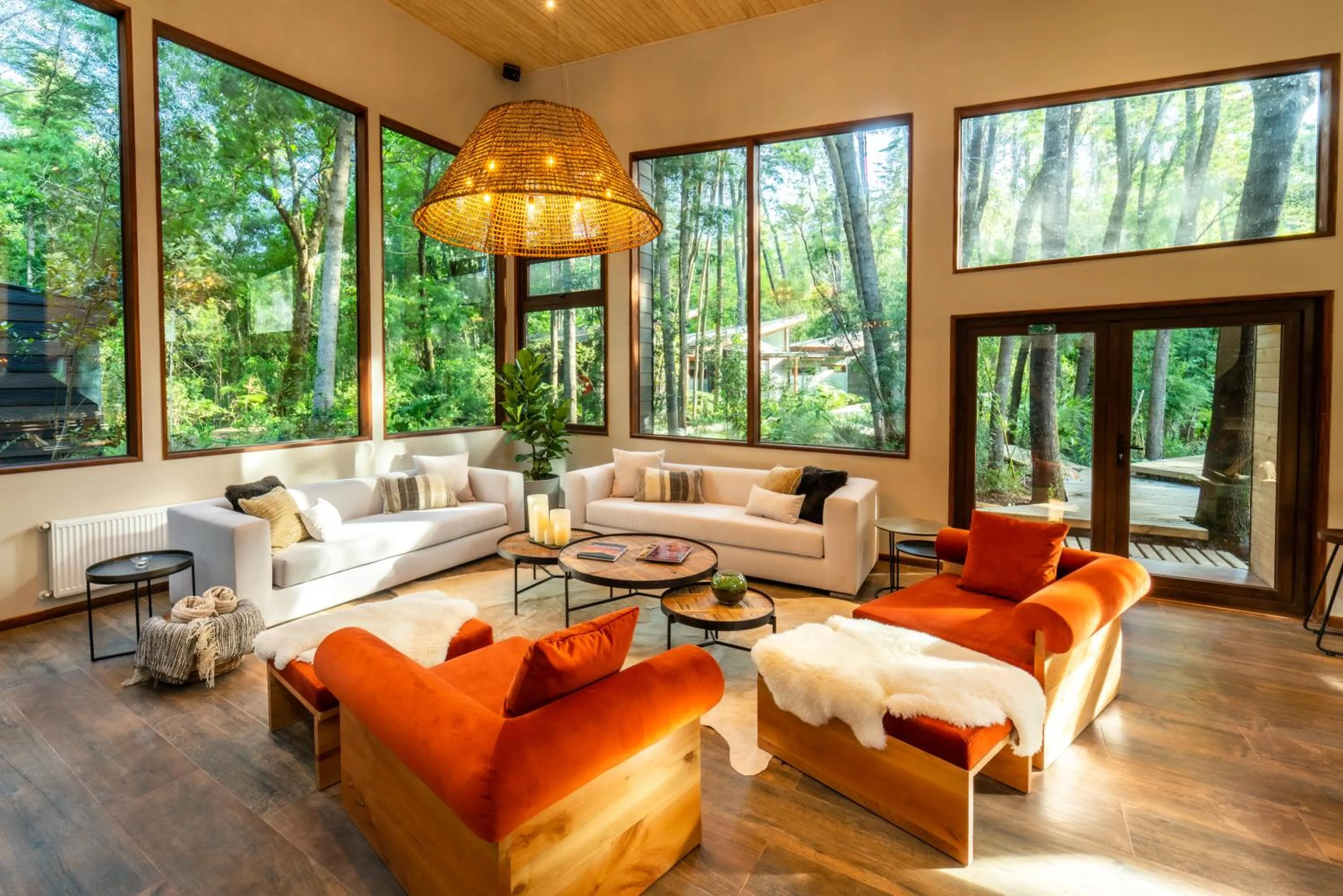 Living room in Rakau Lodge