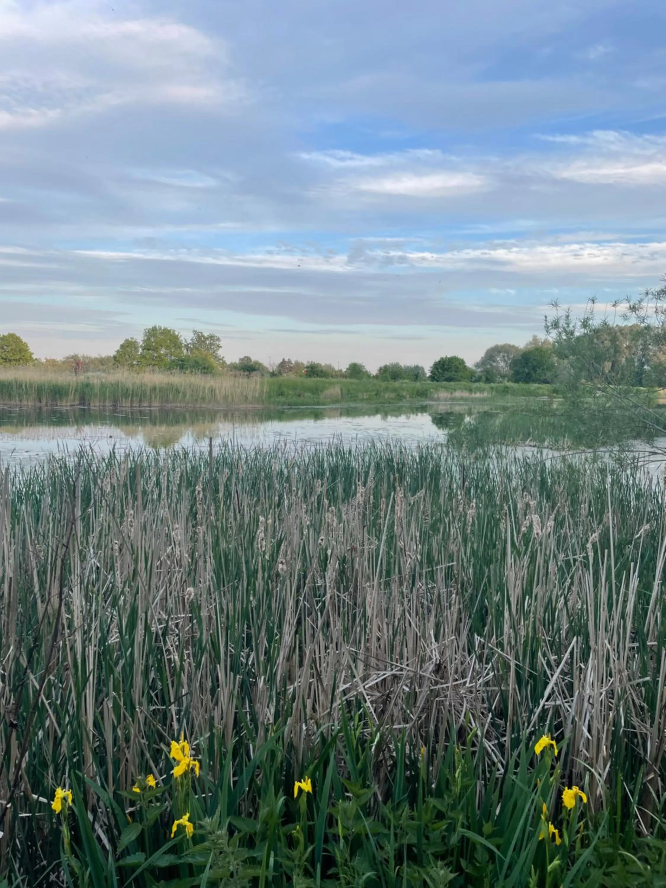 Off site in Patio Riverfront Aparthotel