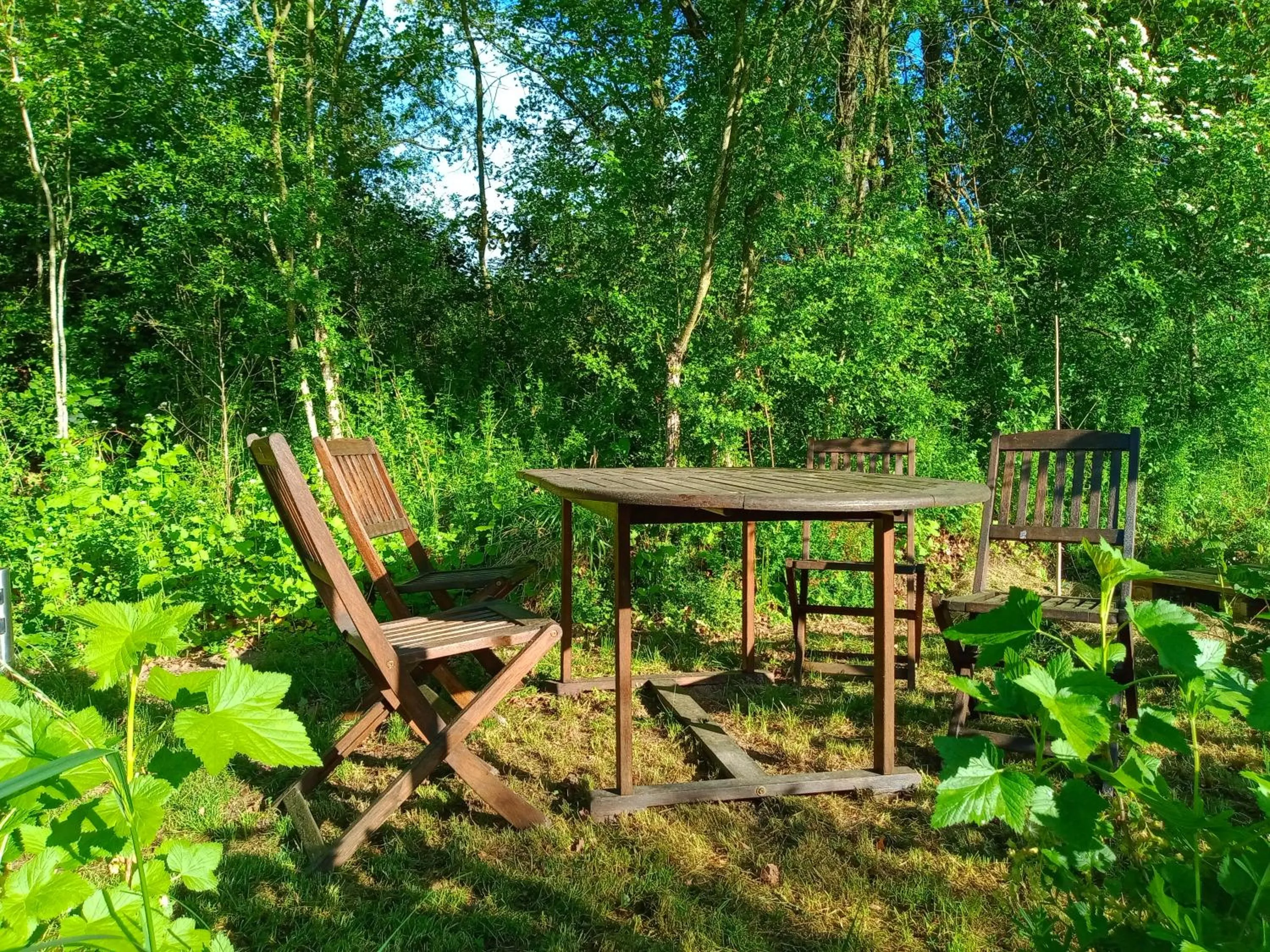 Natural landscape in Le Baugyte - Gite de GROUPE - 14 lits simples