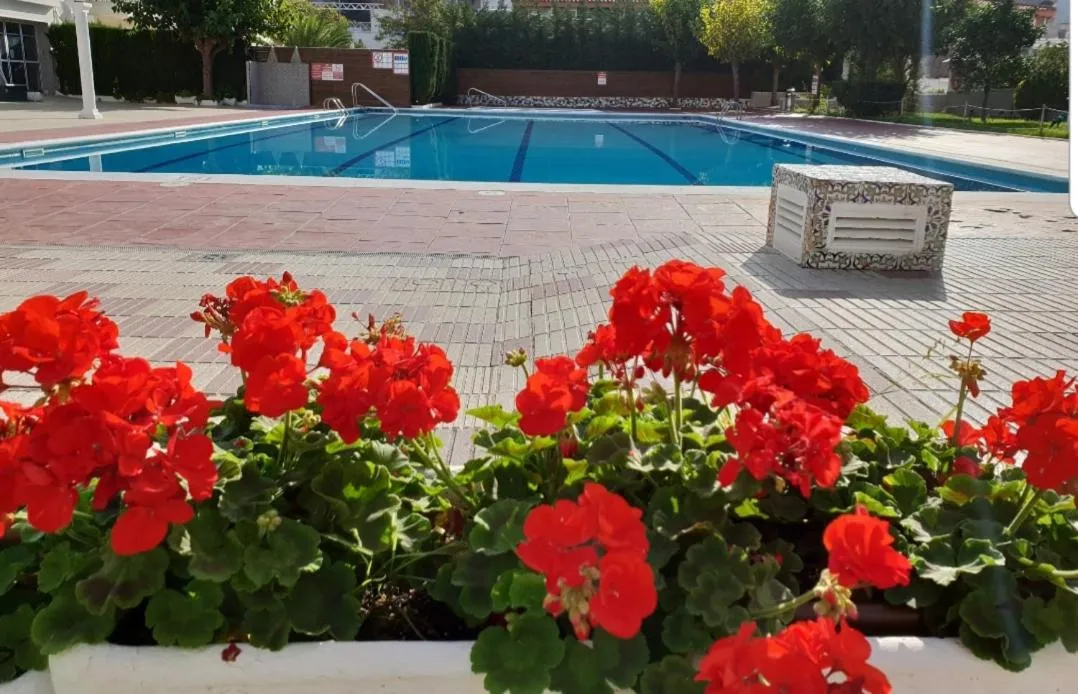 Europa Family Apartments