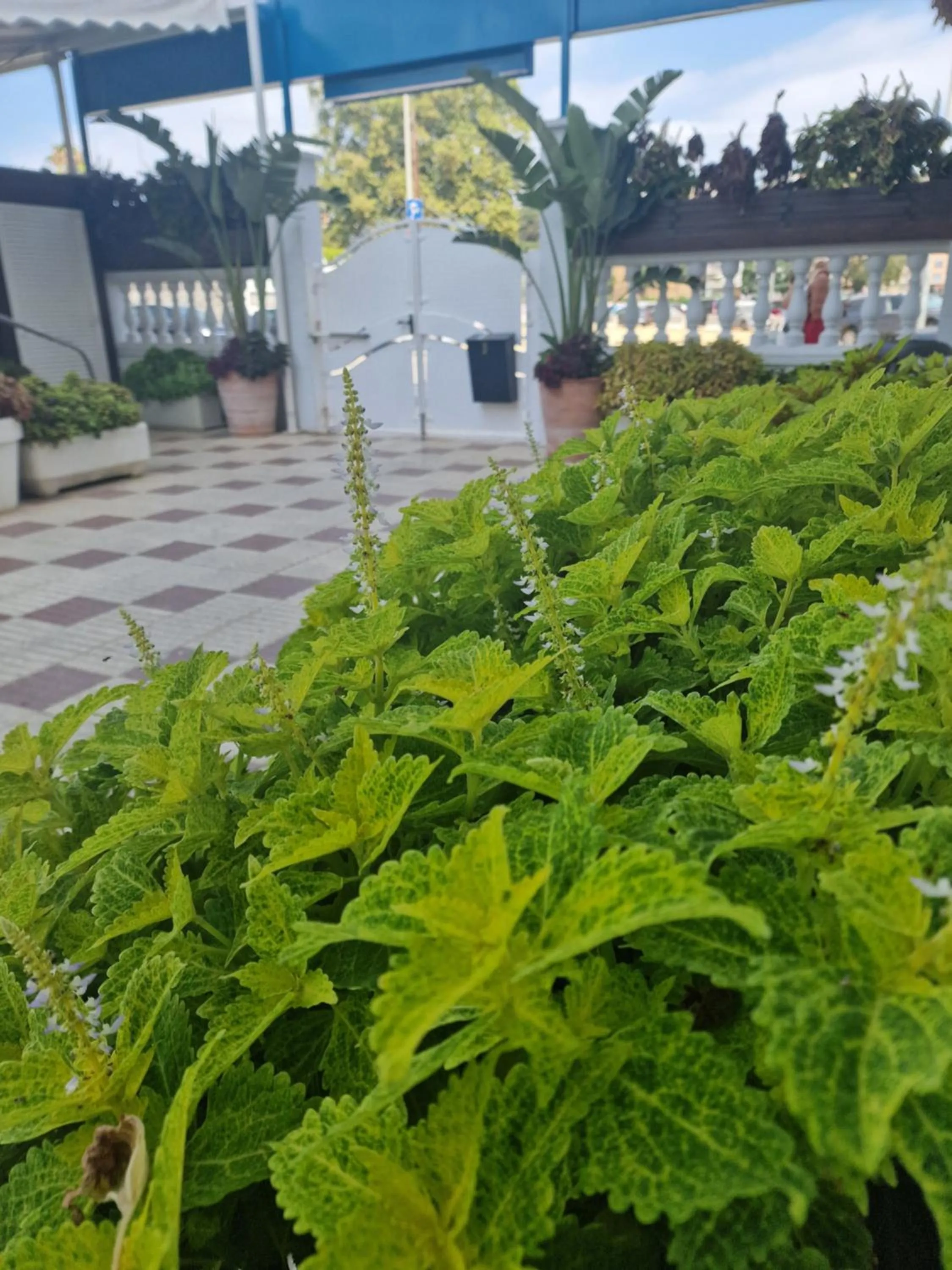 Europa Family Apartments