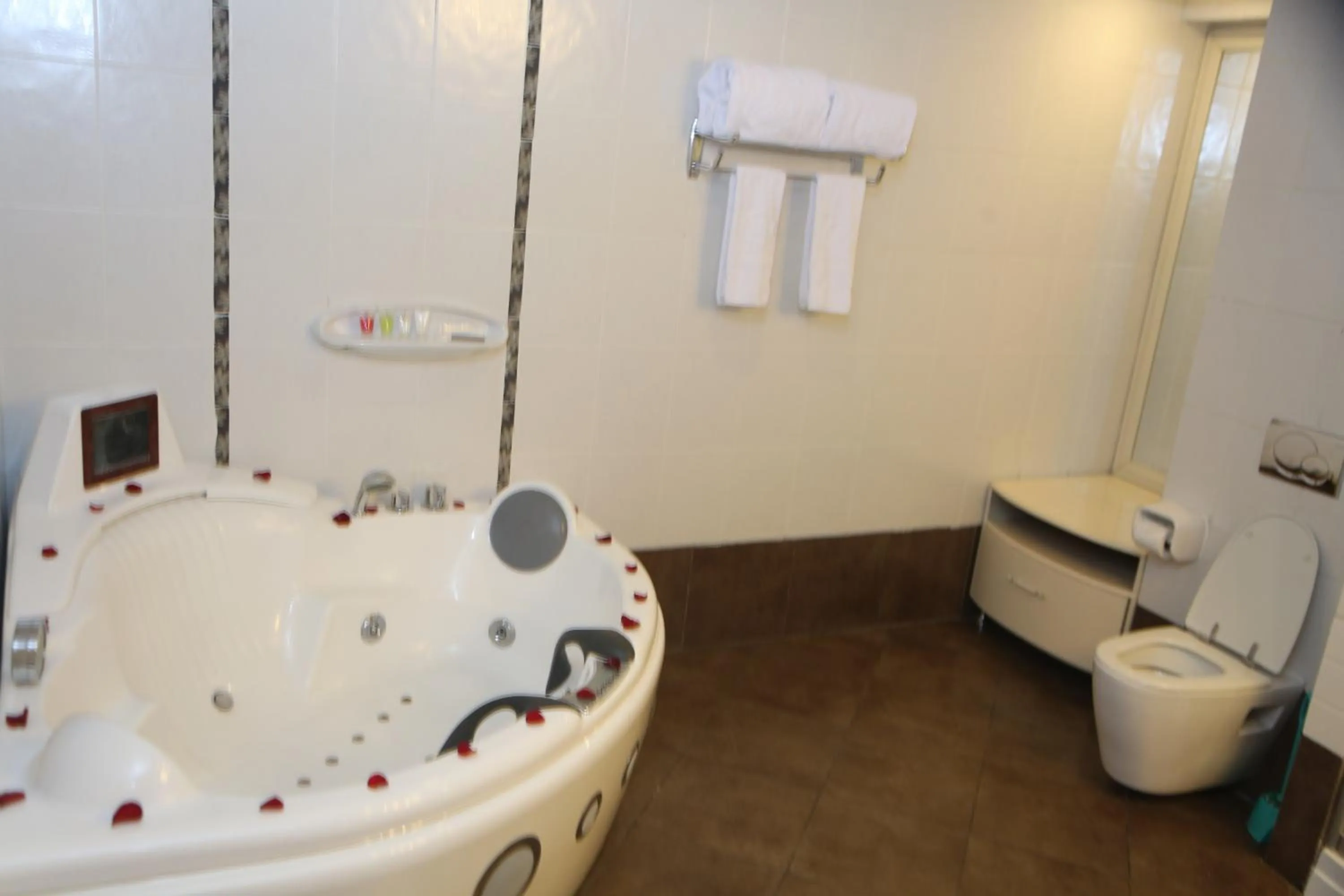 Presidential Suite in Inter Luxury Hotel