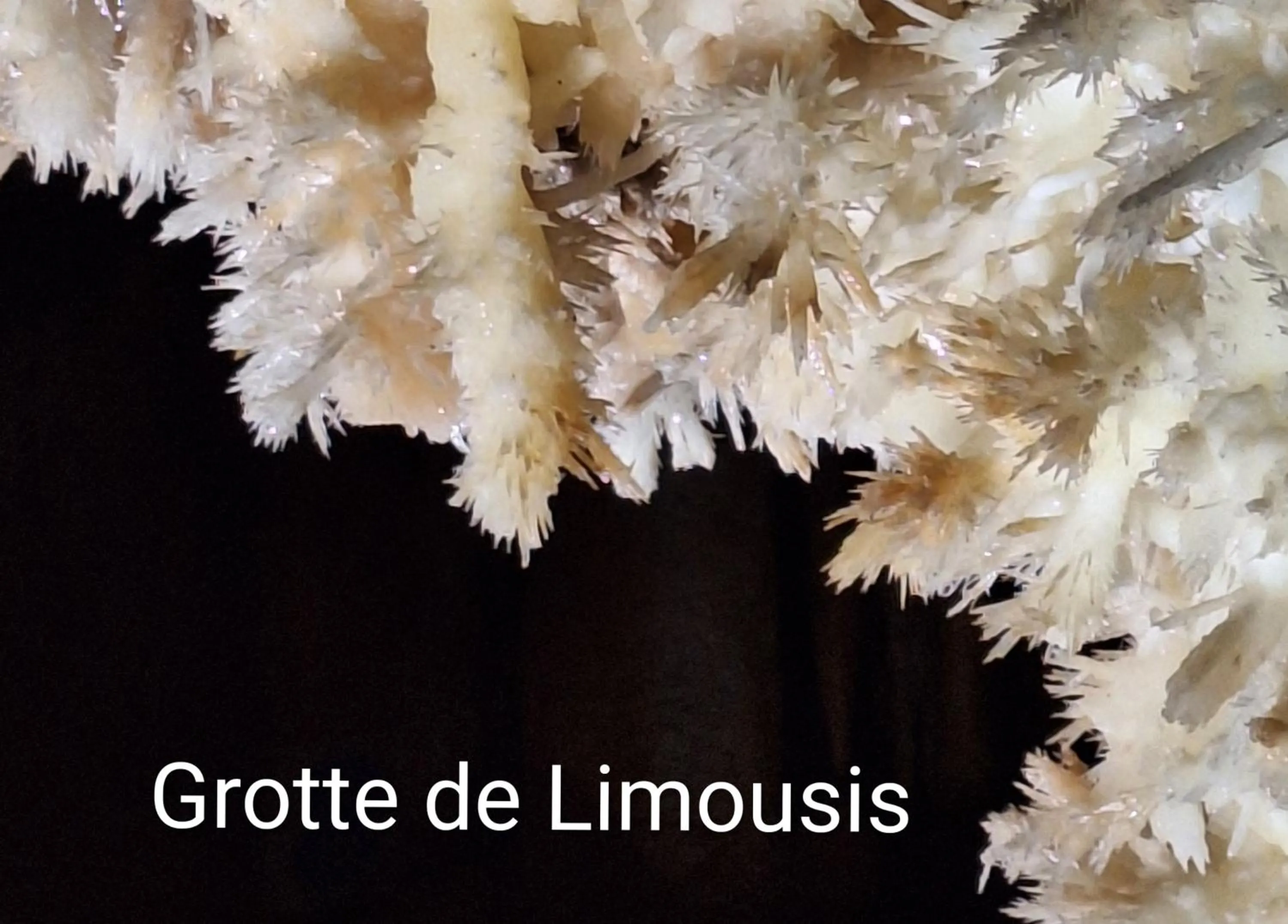 Maison du Coquelicot