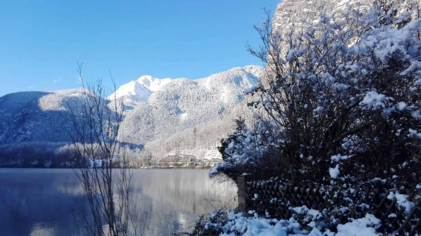 Apartment House Seerose self check-in