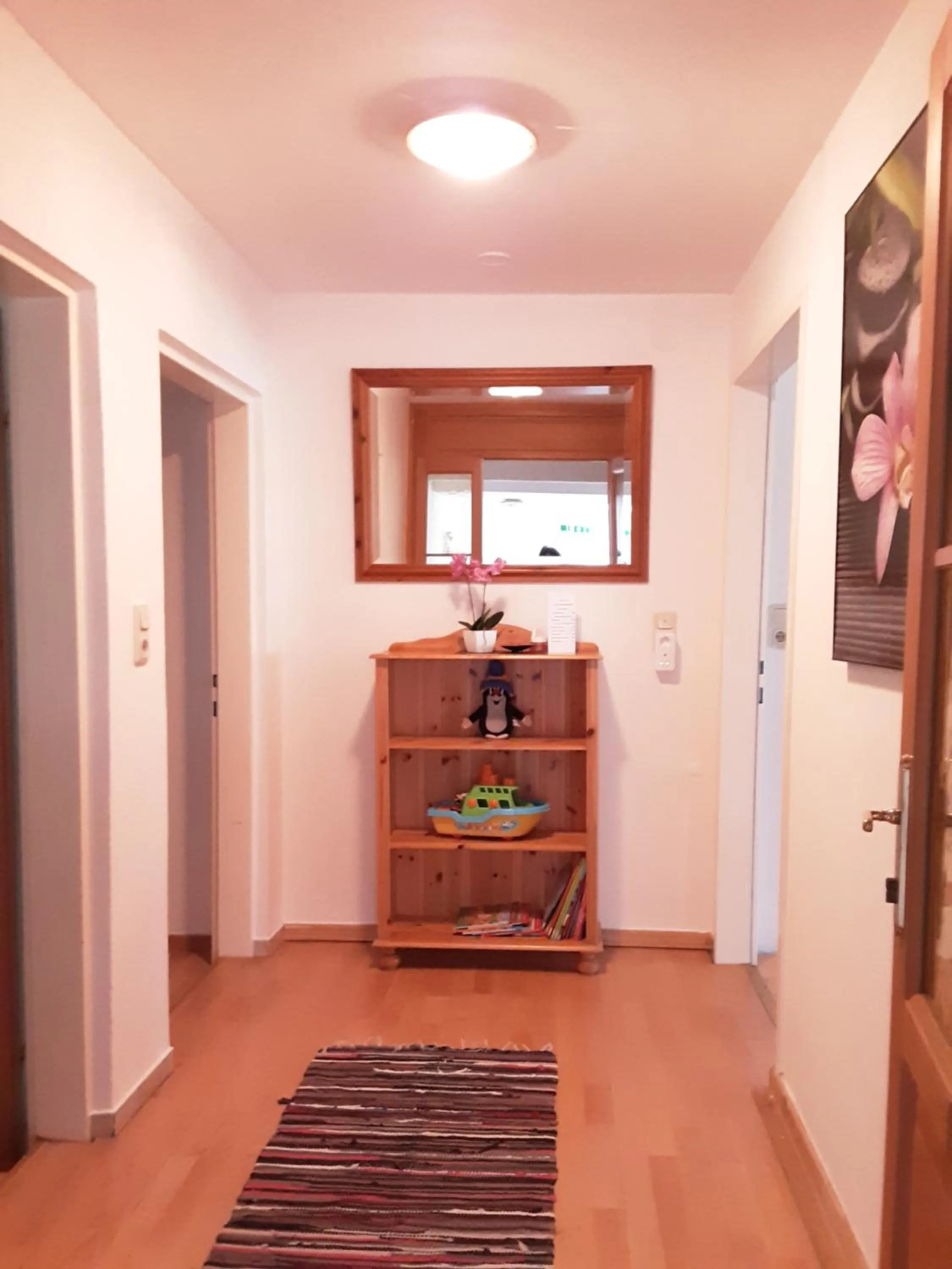 Apartment House Seerose self check-in