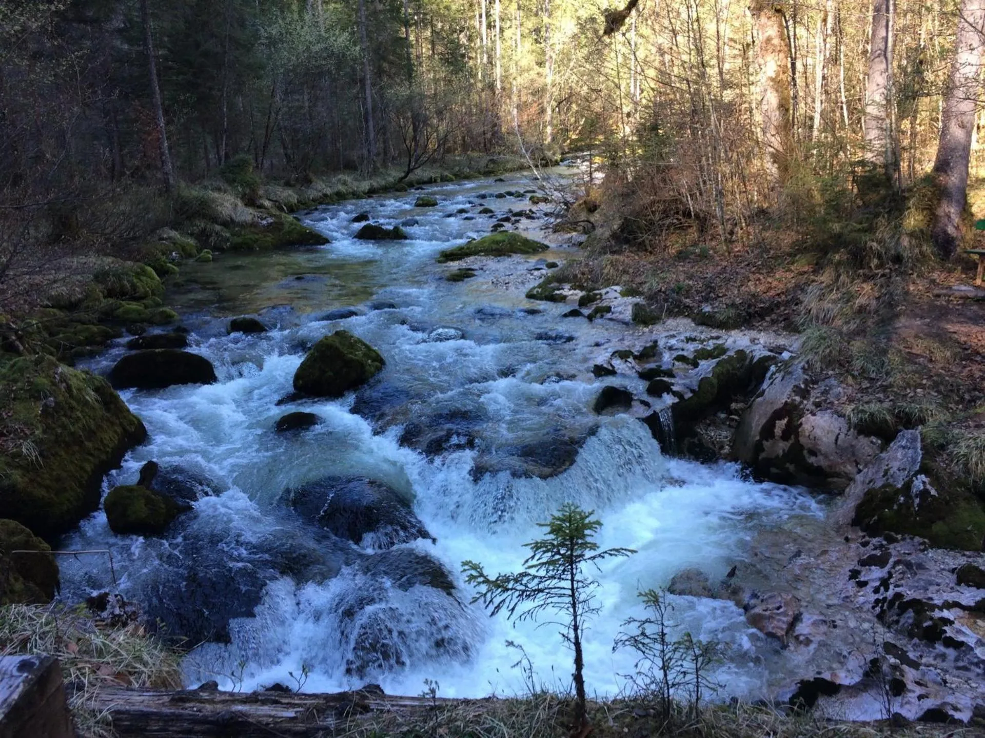 Apartment House Seerose self check-in