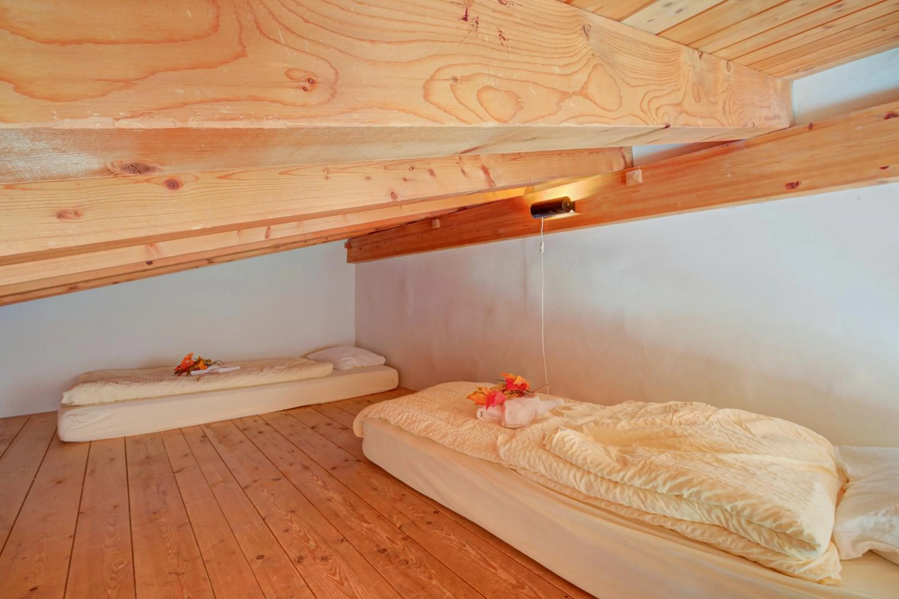 Area and facilities, Bed in Hotel Relais Alpin