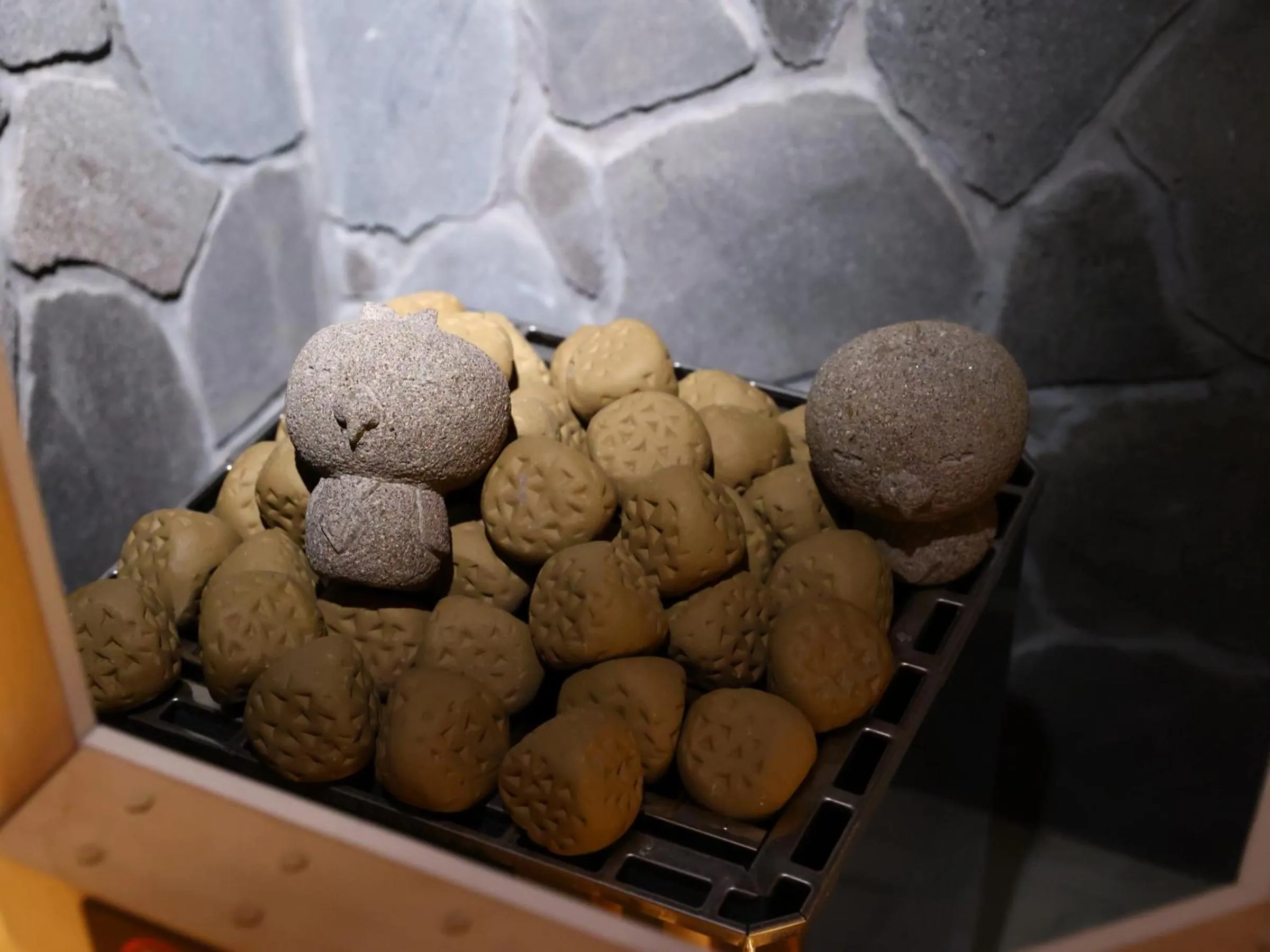 Sauna in Dormy Inn Express Fujisan Gotemba