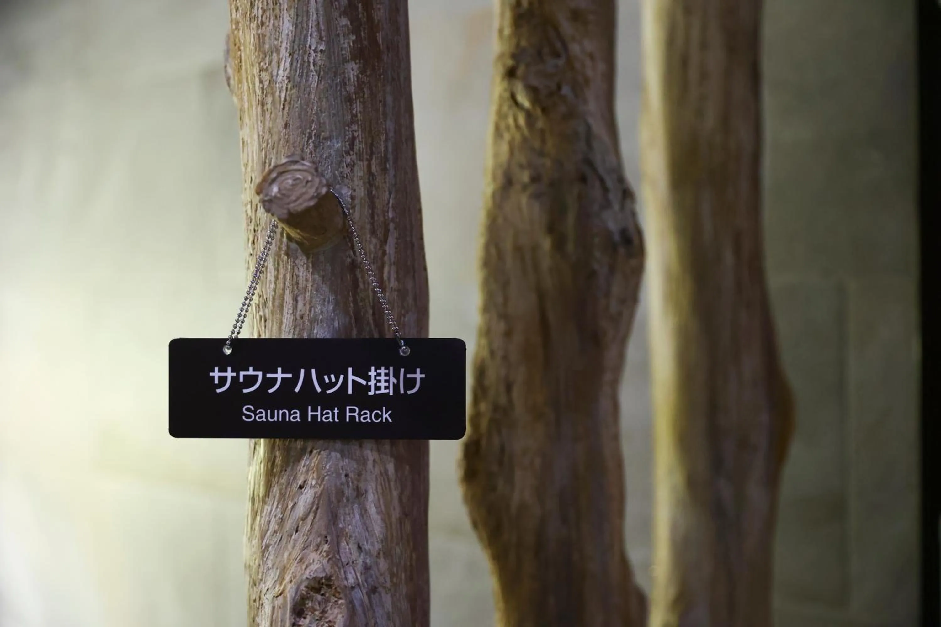 Public Bath in Dormy Inn Express Fujisan Gotemba