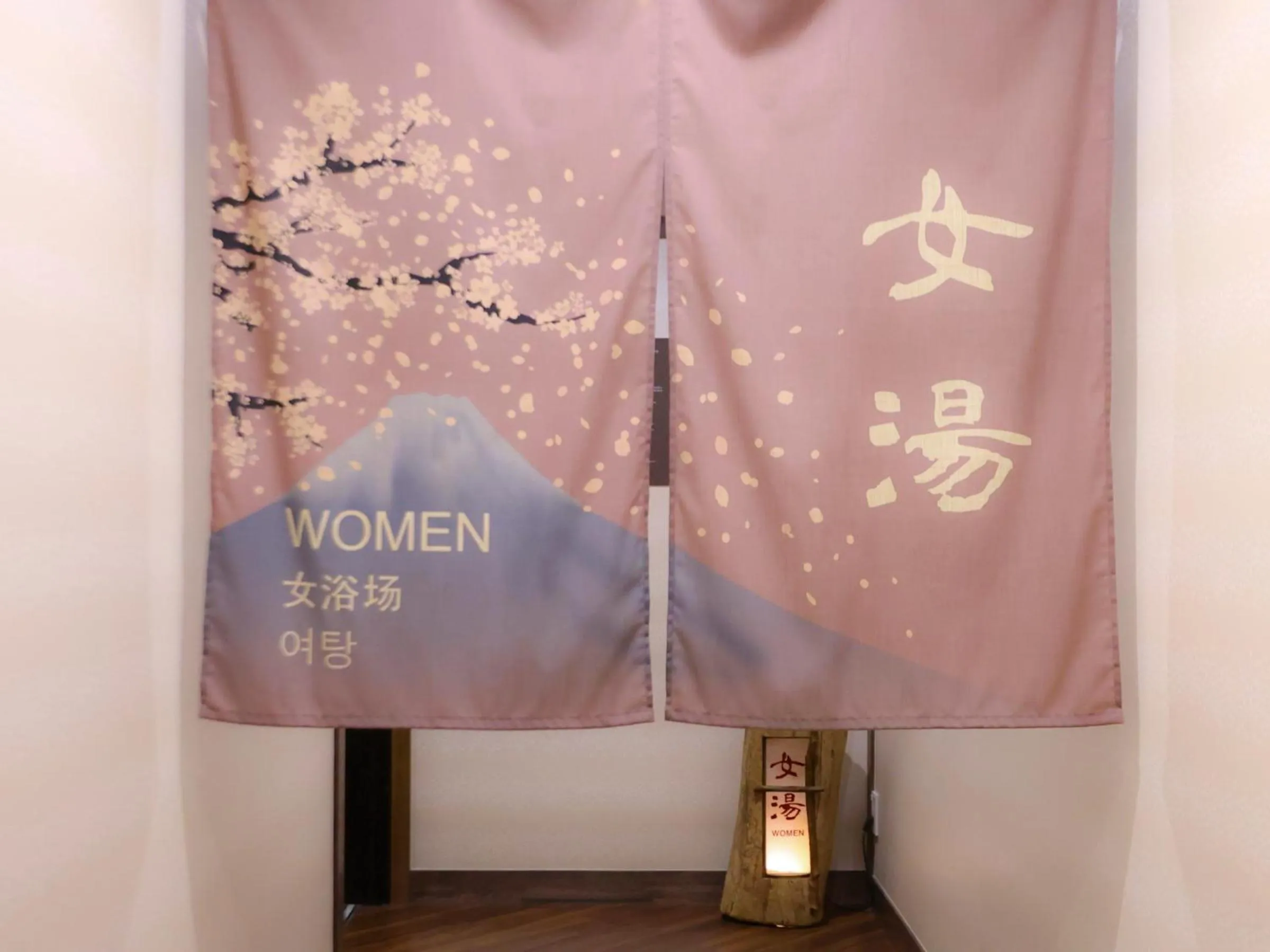 Public Bath in Dormy Inn Express Fujisan Gotemba