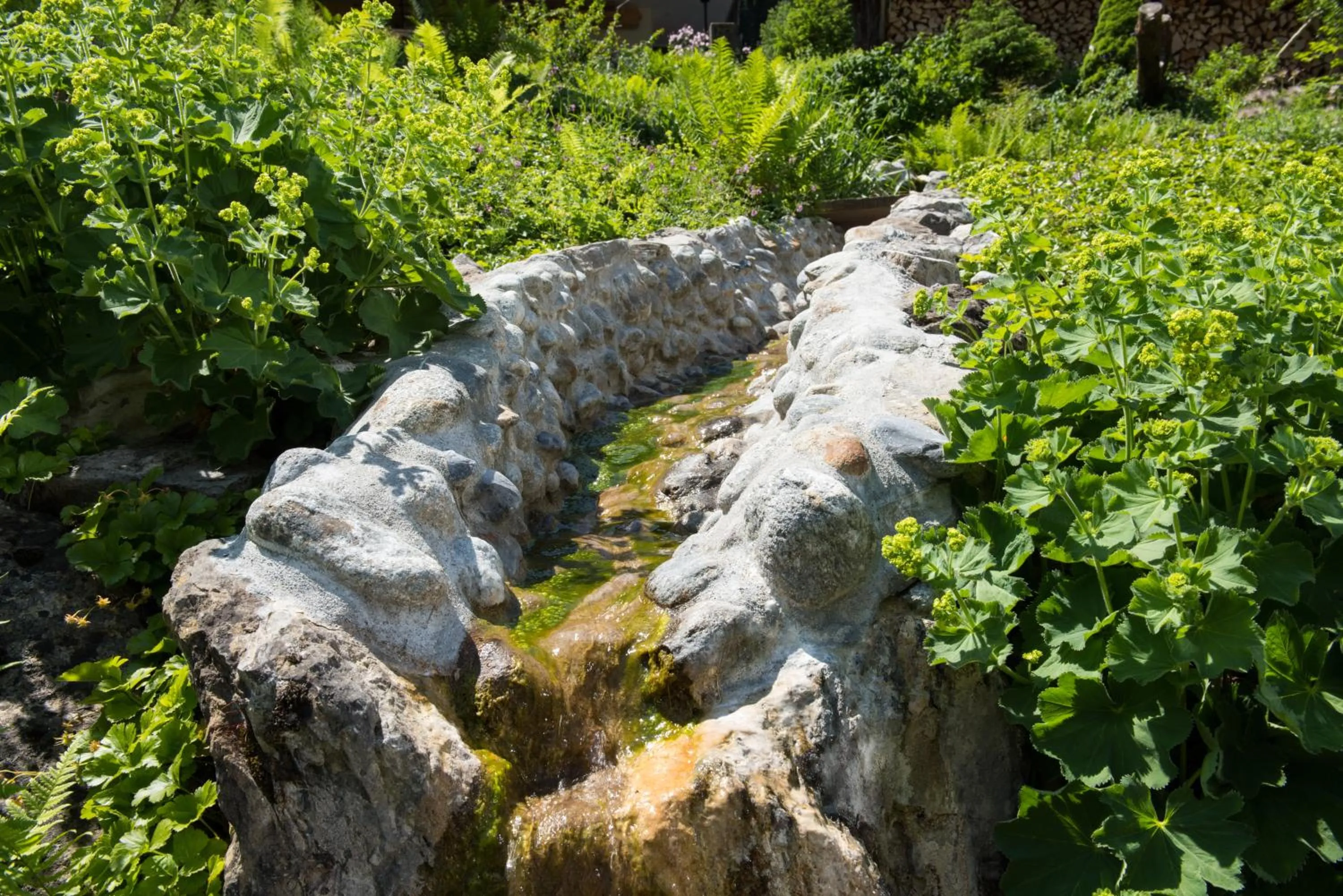 Day in Hotel Silberhorn