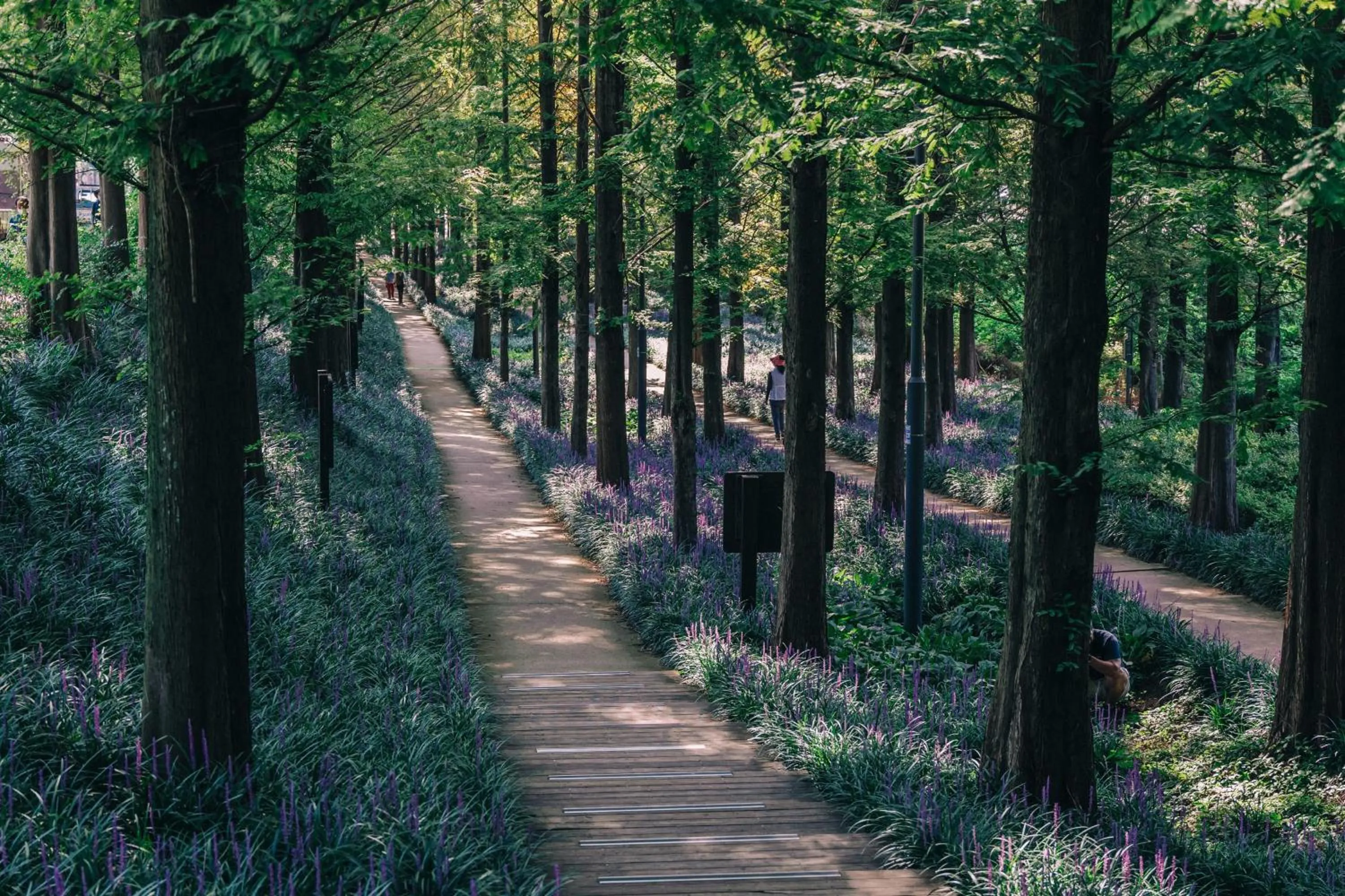 Nearby landmark in Holiday Inn Gwangju by IHG