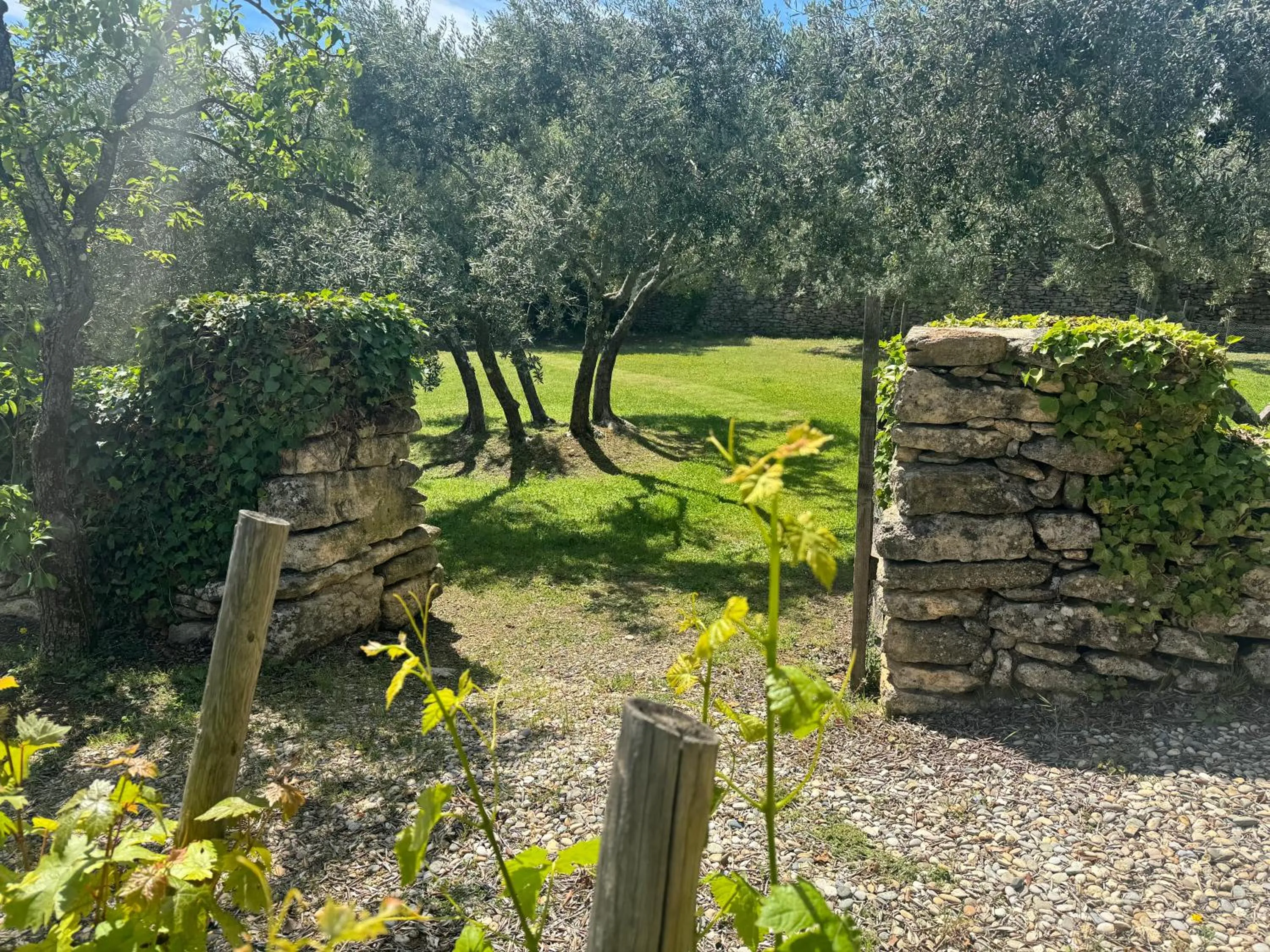 Garden in Le Mas de Béthel