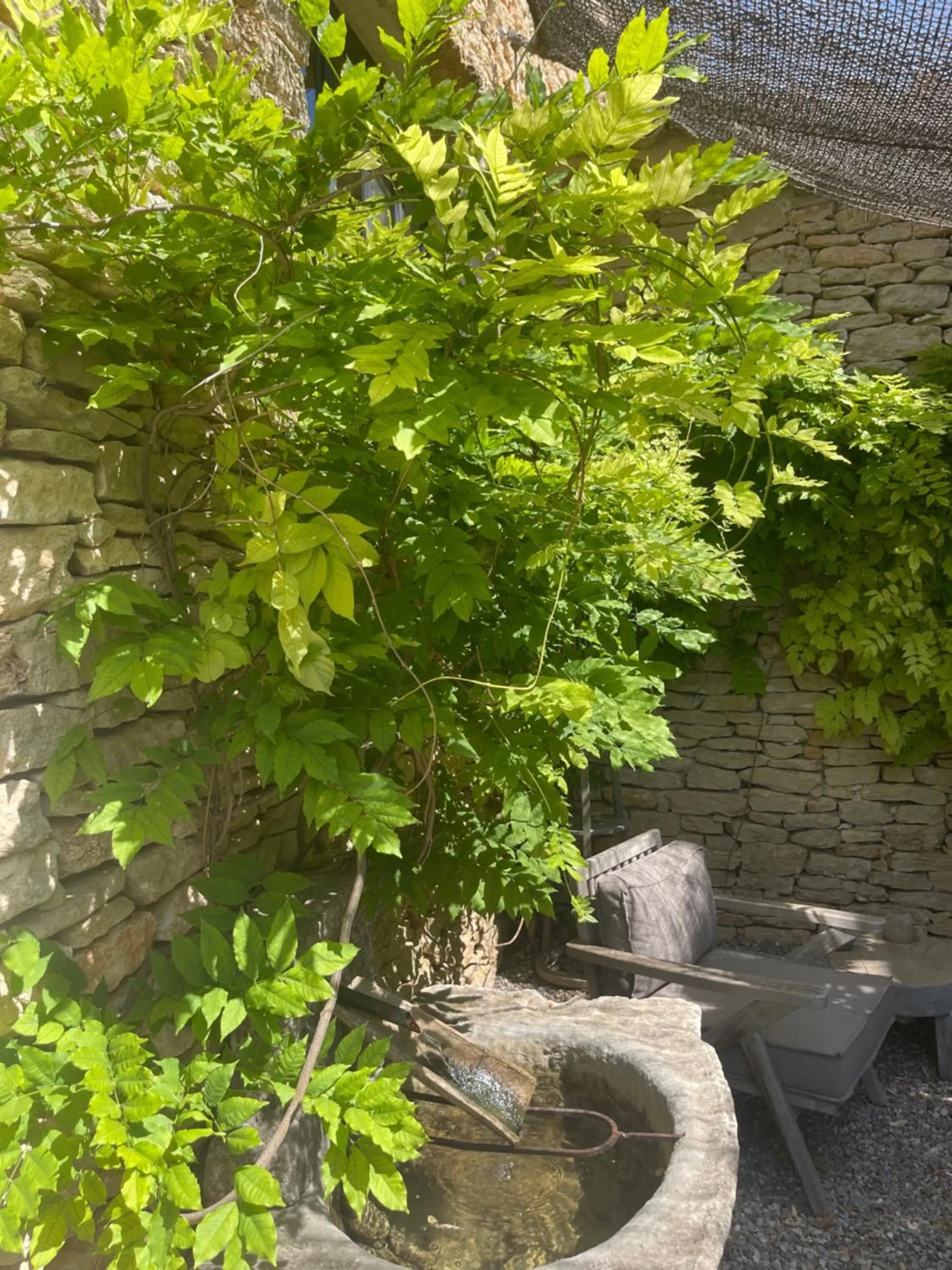 Patio in Le Mas de Béthel