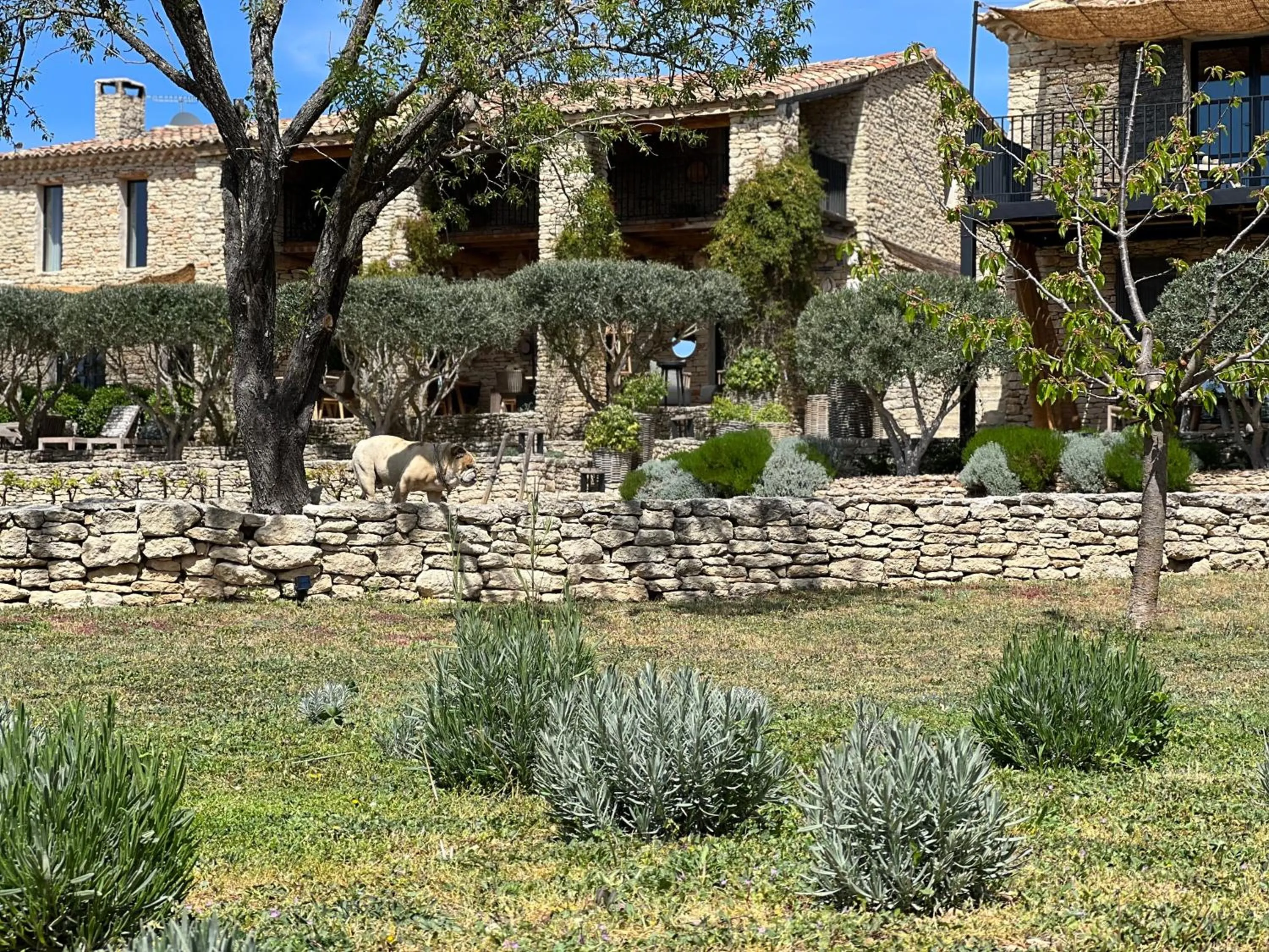 Garden in Le Mas de Béthel
