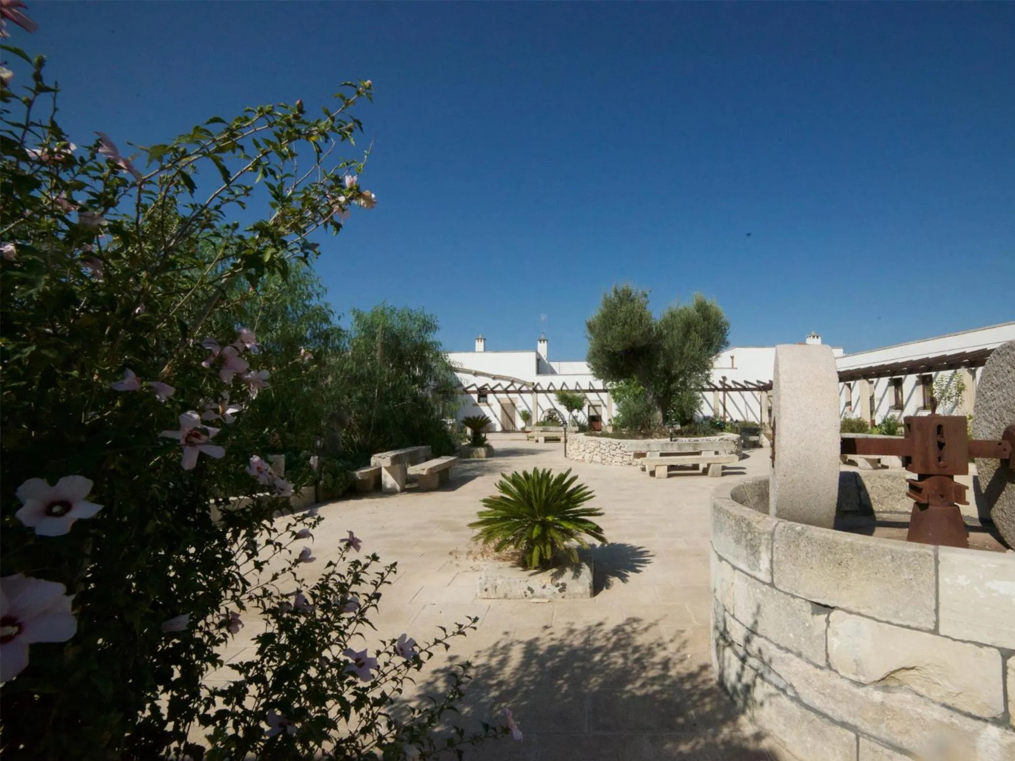 Masseria Cinti