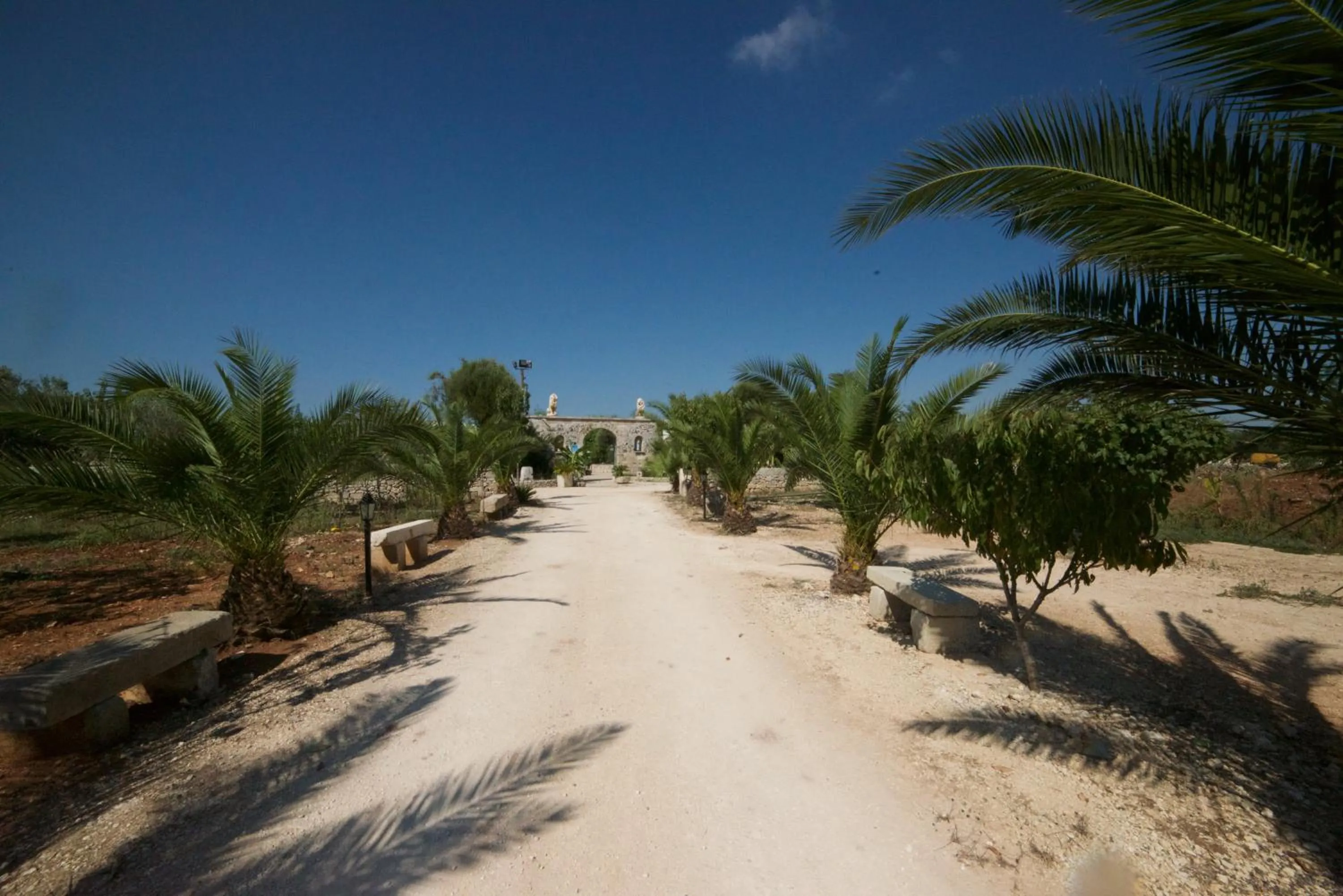 Masseria Cinti