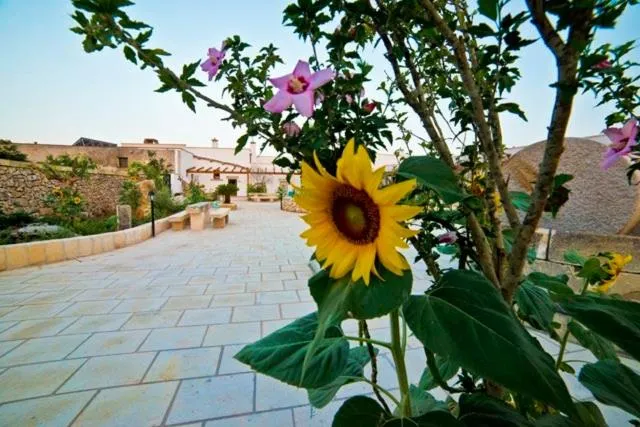 Masseria Cinti