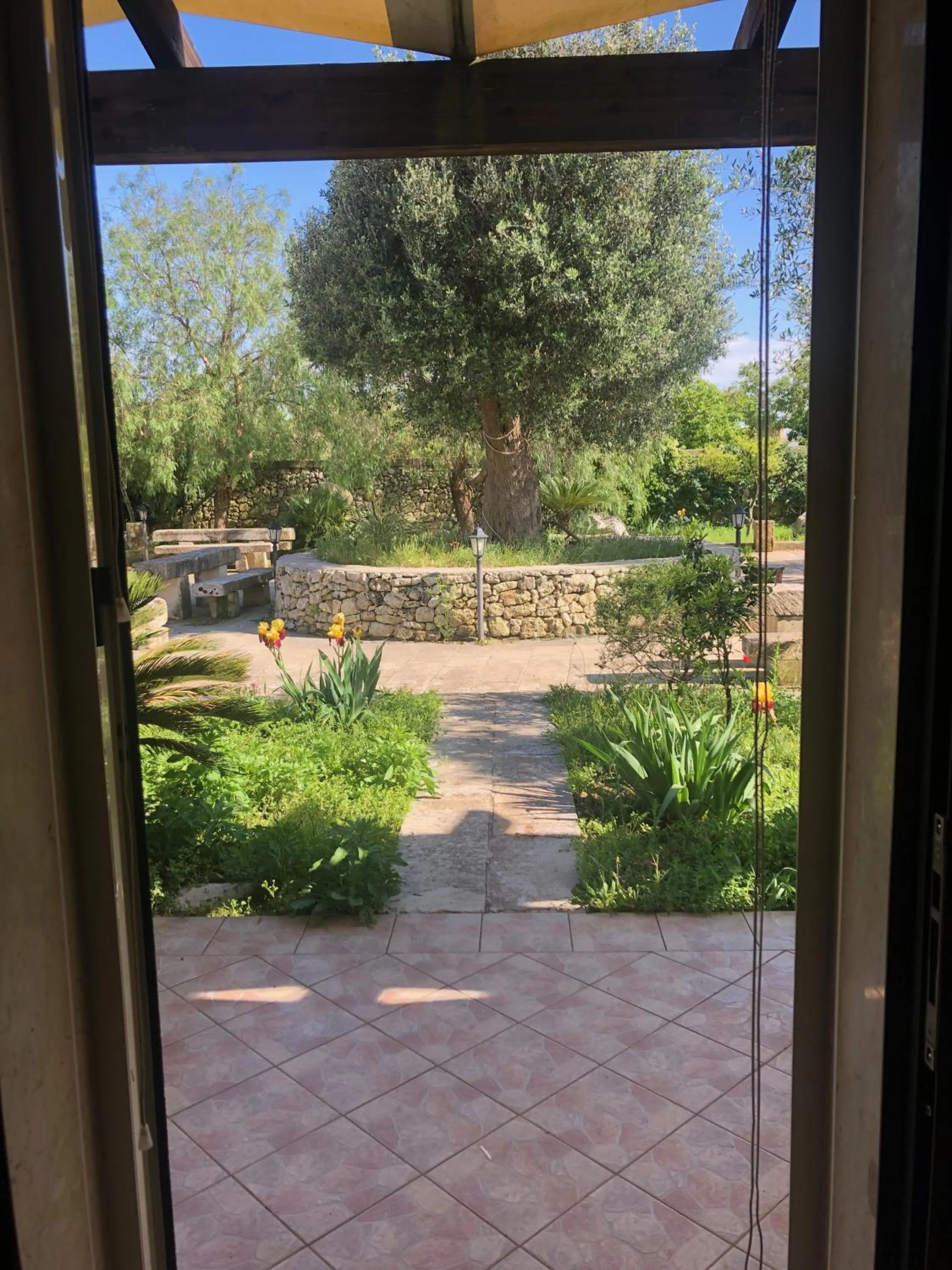 View (from property/room) in Masseria Cinti