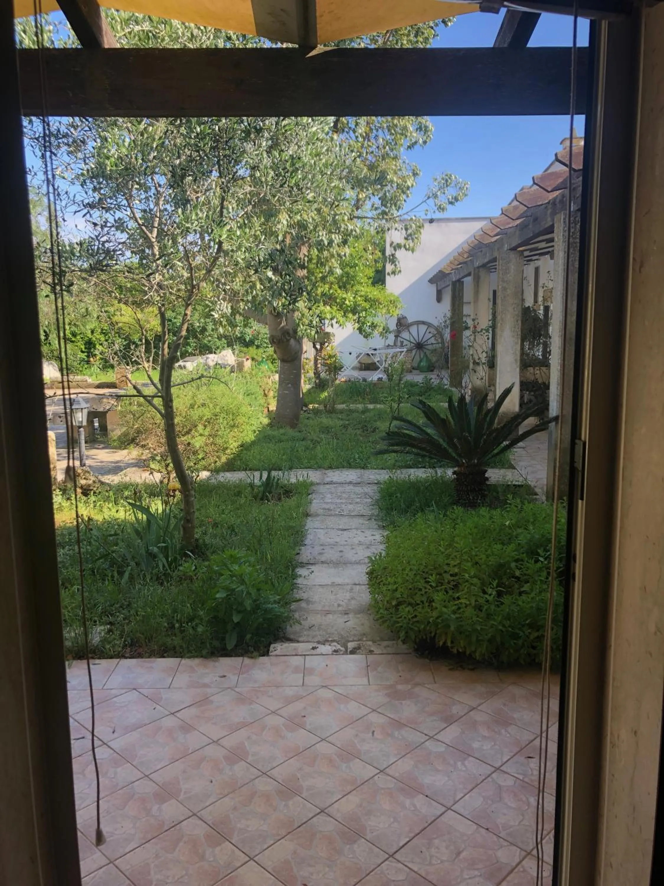 View (from property/room) in Masseria Cinti
