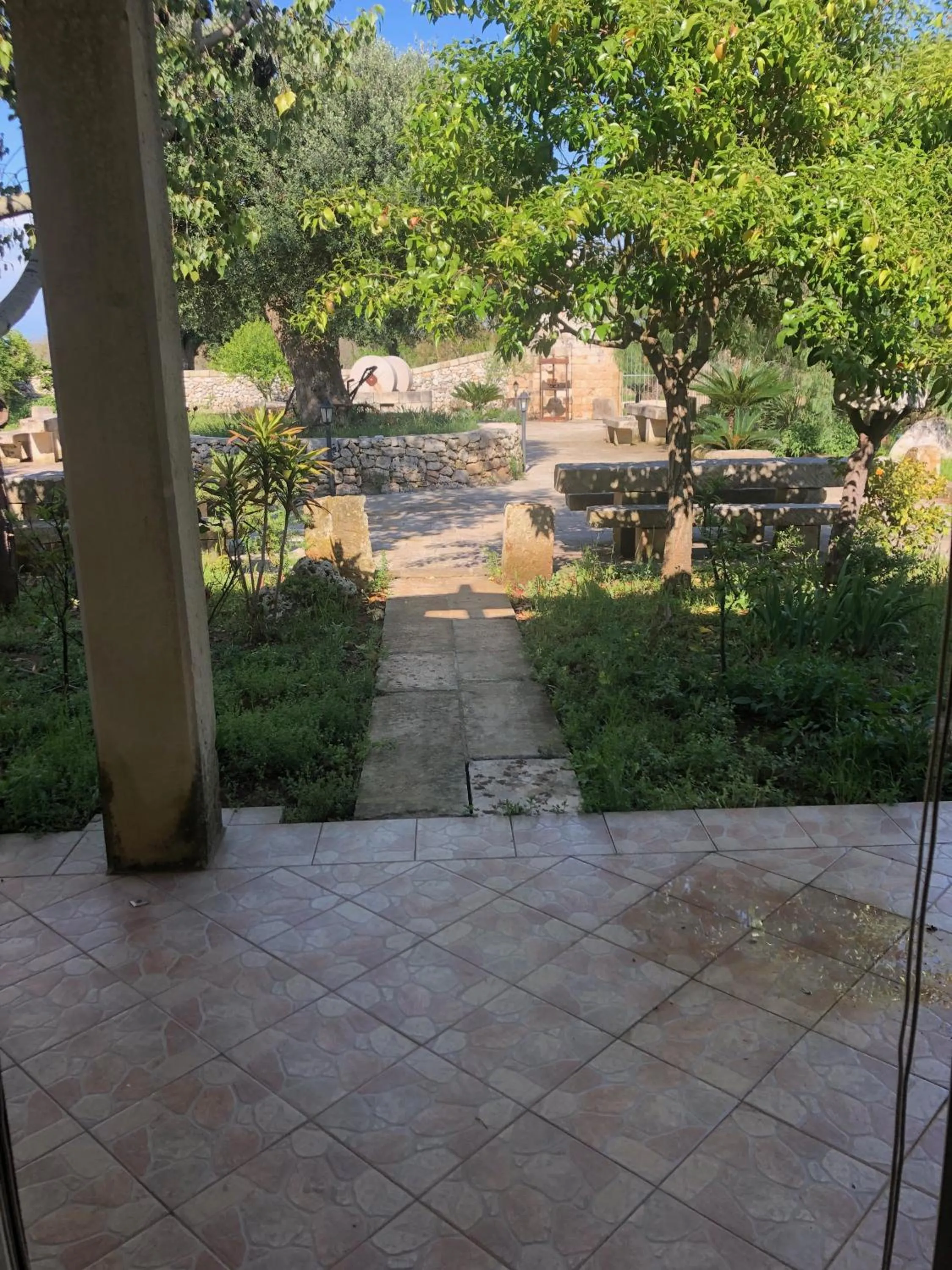 View (from property/room) in Masseria Cinti