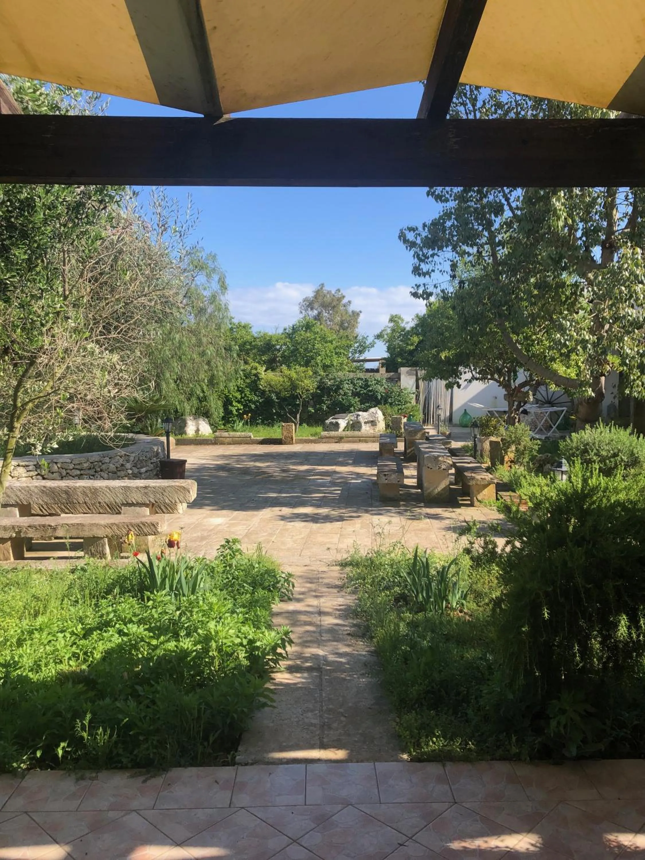 View (from property/room) in Masseria Cinti