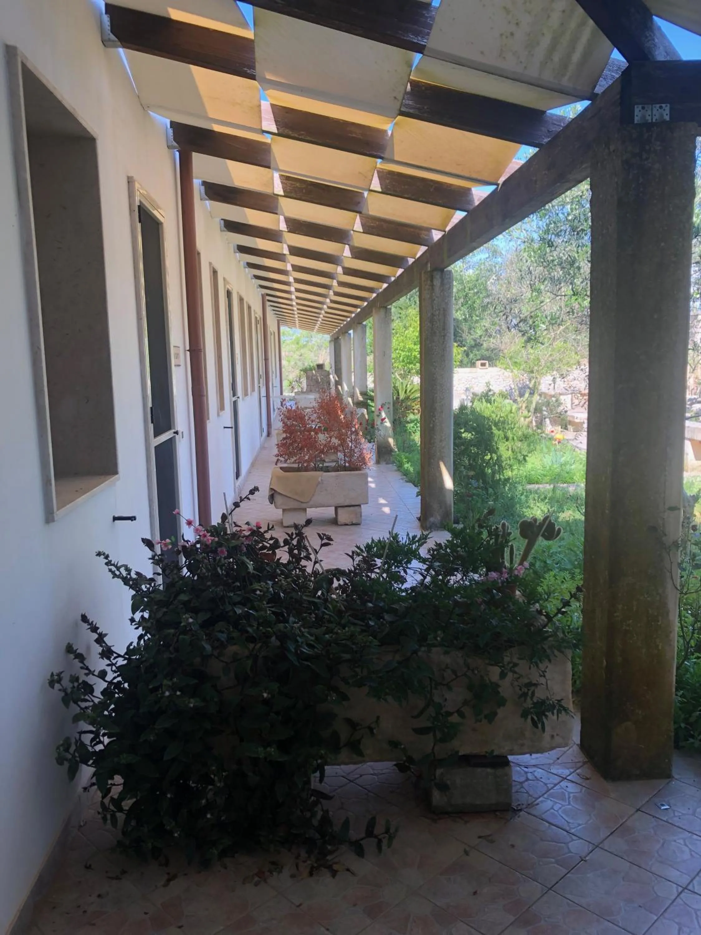 View (from property/room) in Masseria Cinti