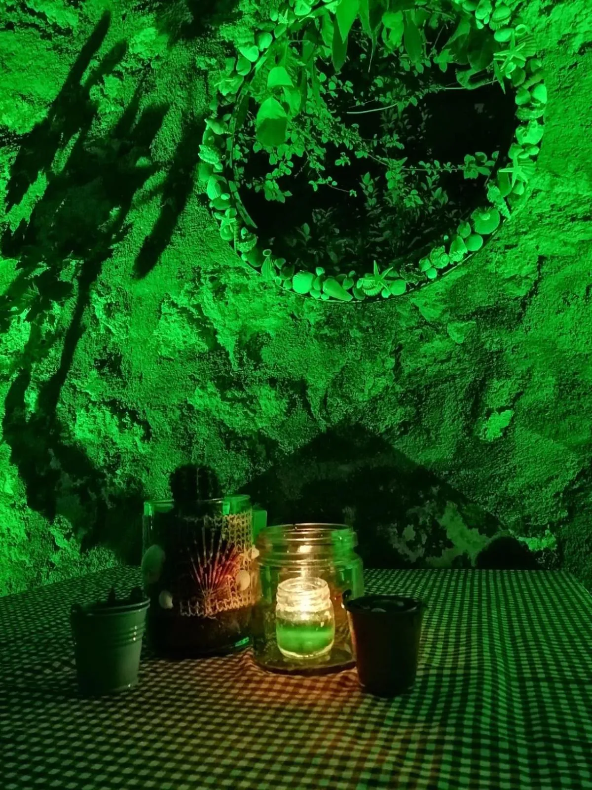 Patio in kaktüshan otel