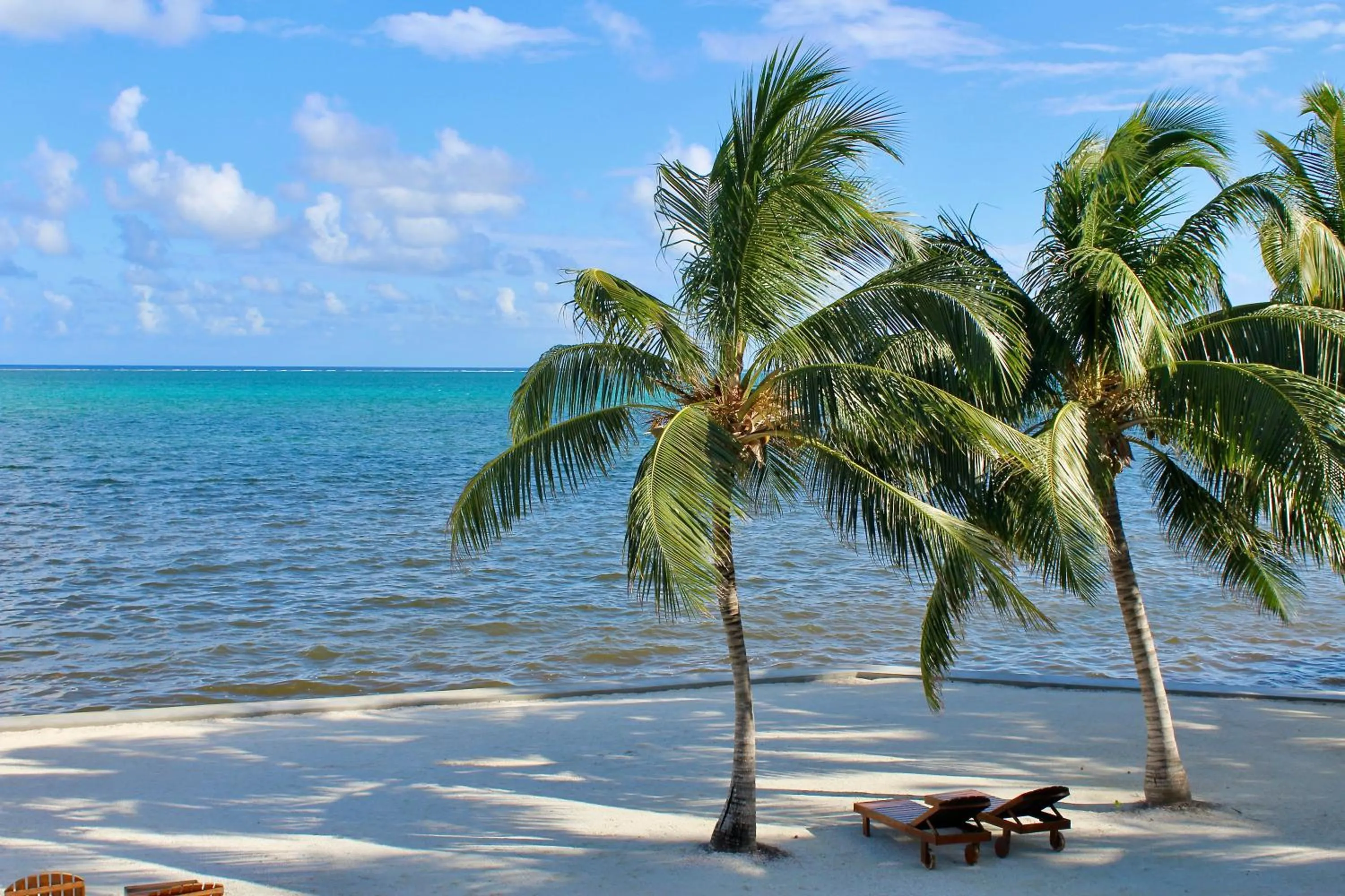 Natural landscape in Tara Del Sol Resort