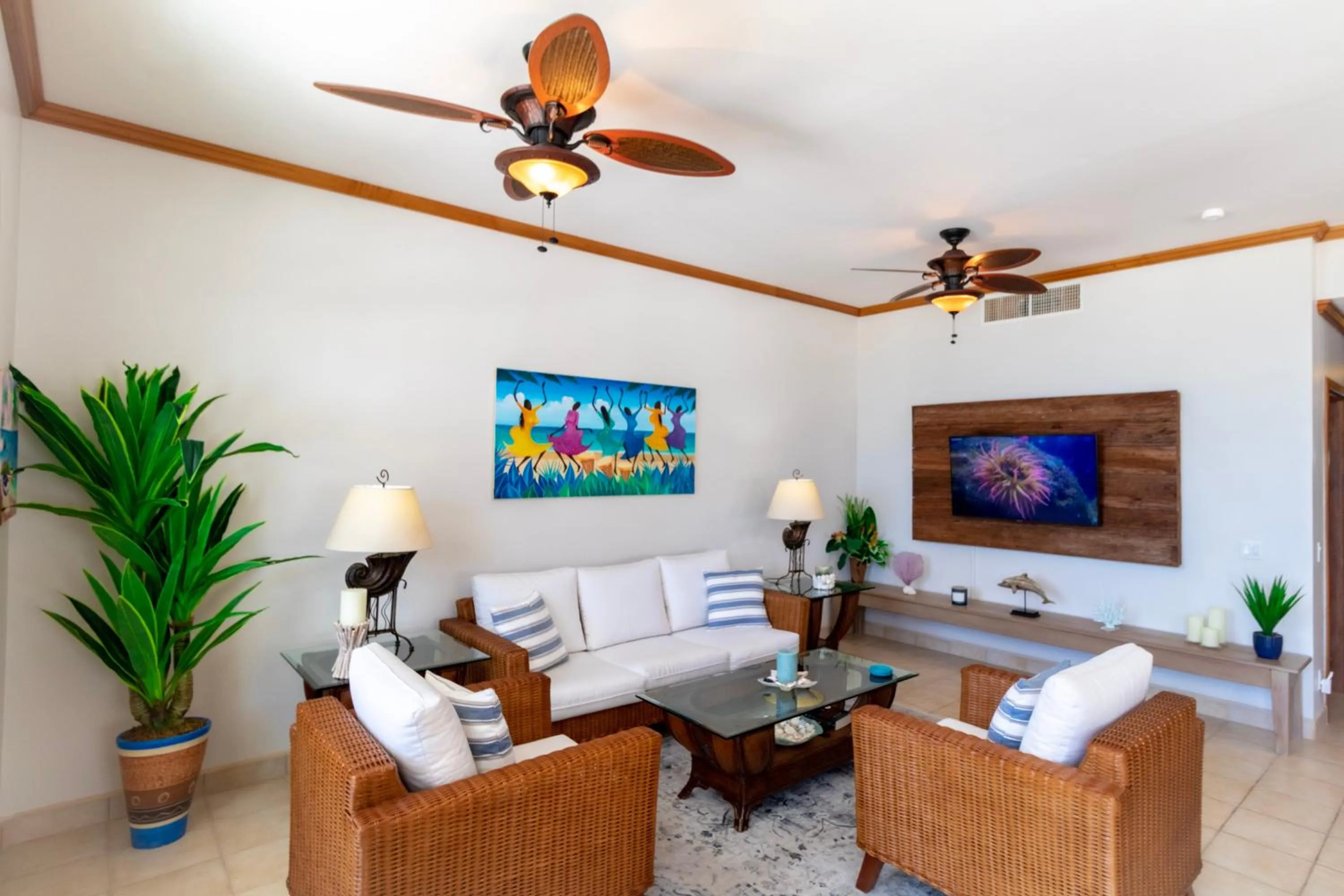 TV and multimedia in Tara Del Sol Resort