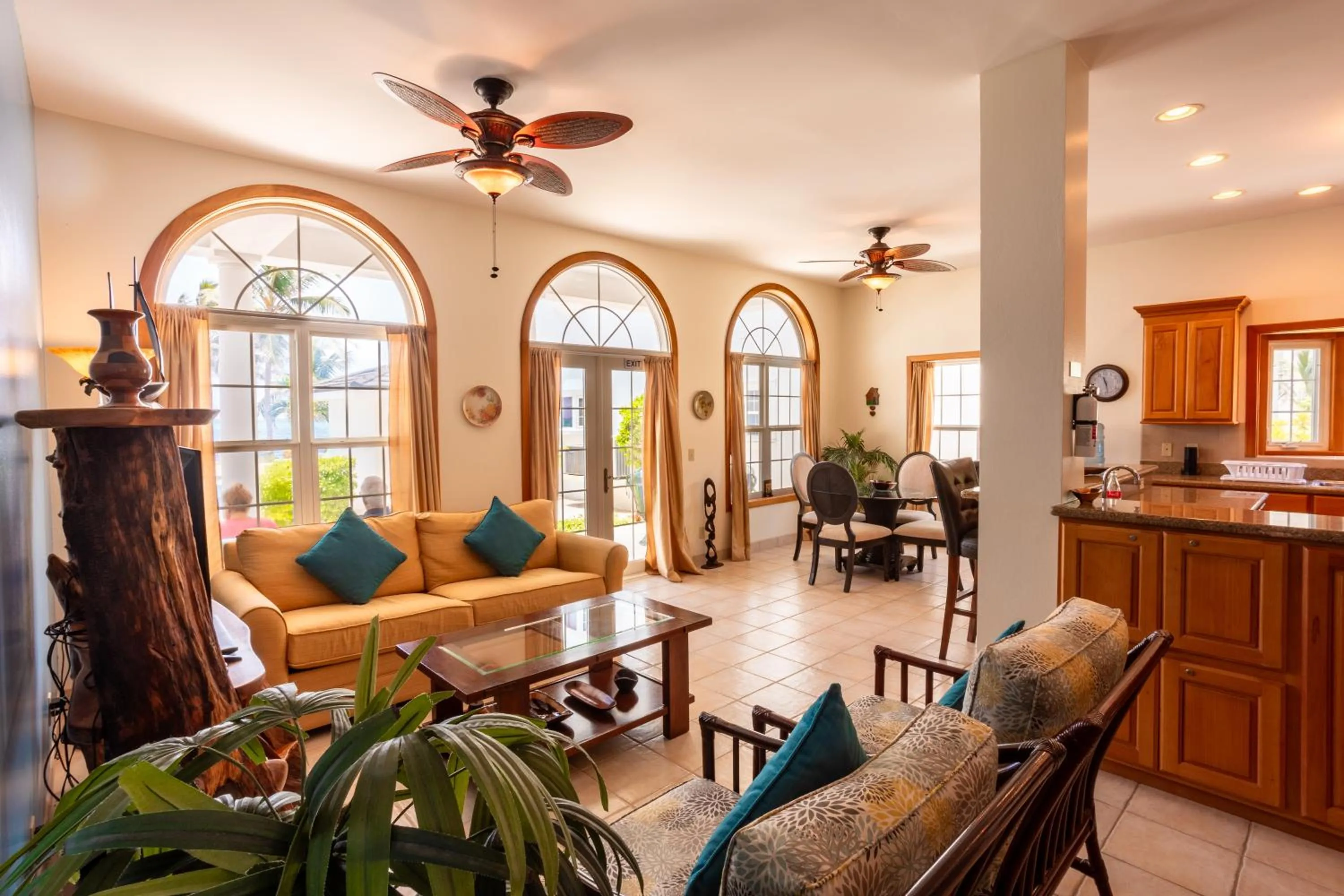 View (from property/room) in Tara Del Sol Resort