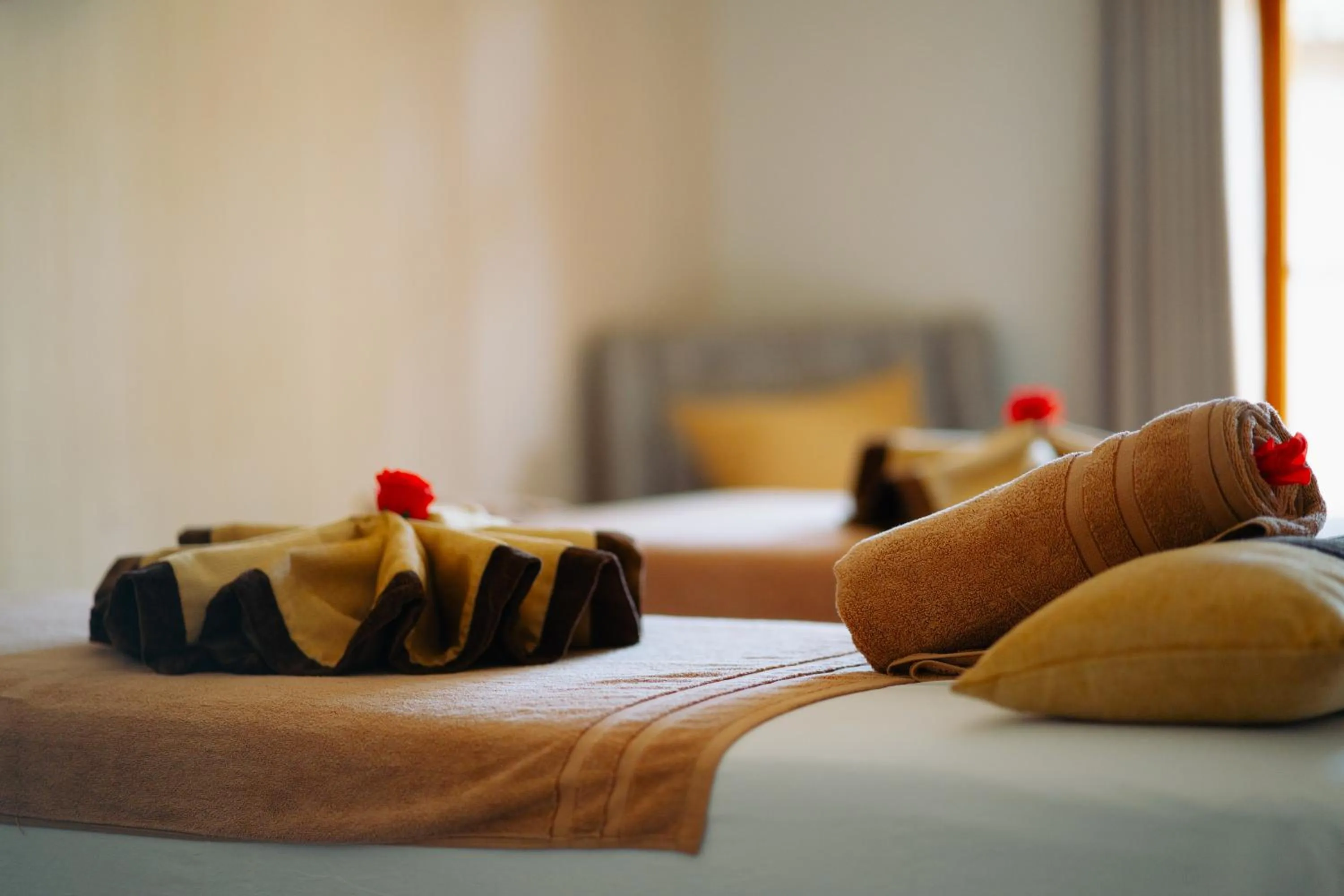 Bed in Arusha Planet Lodge