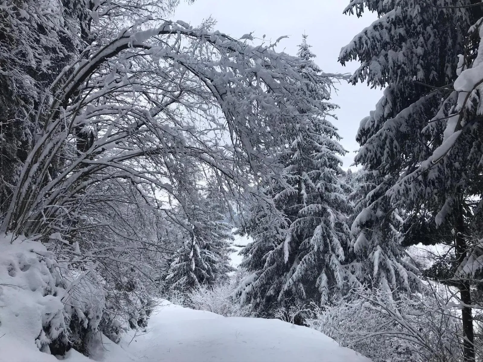 Winter in Landhaus Schönblick