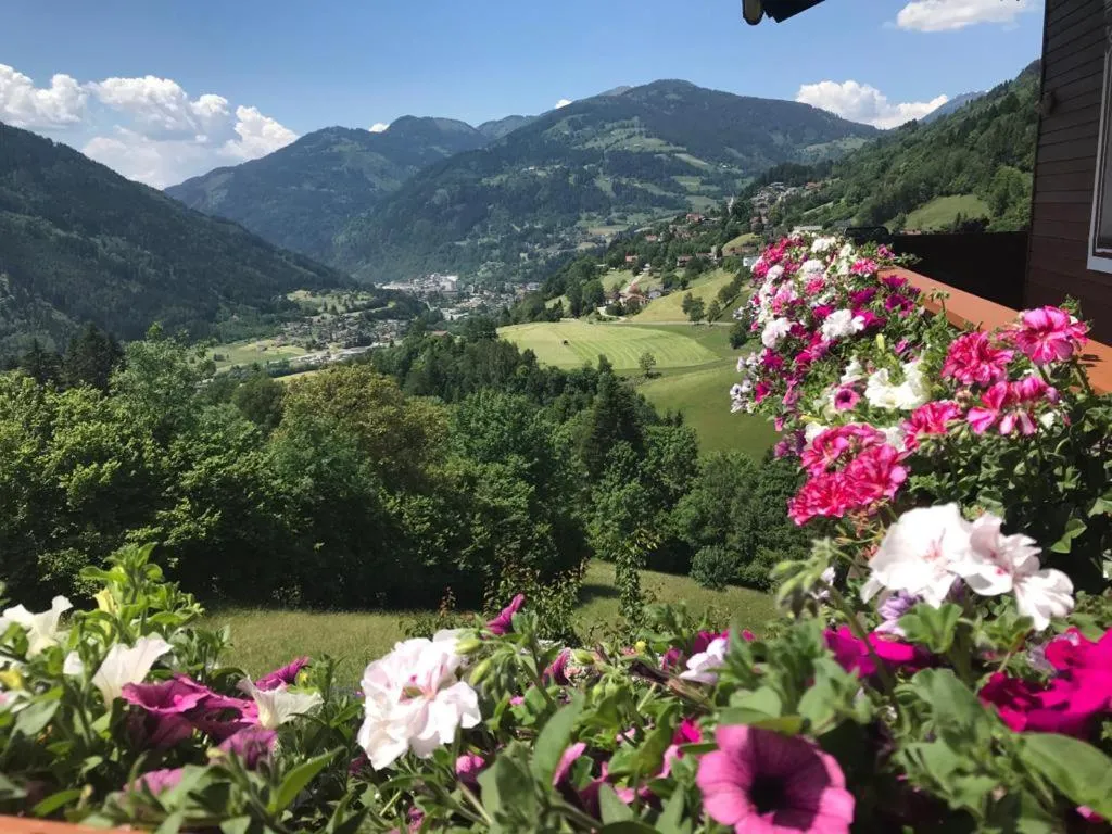Mountain view in Landhaus Schönblick