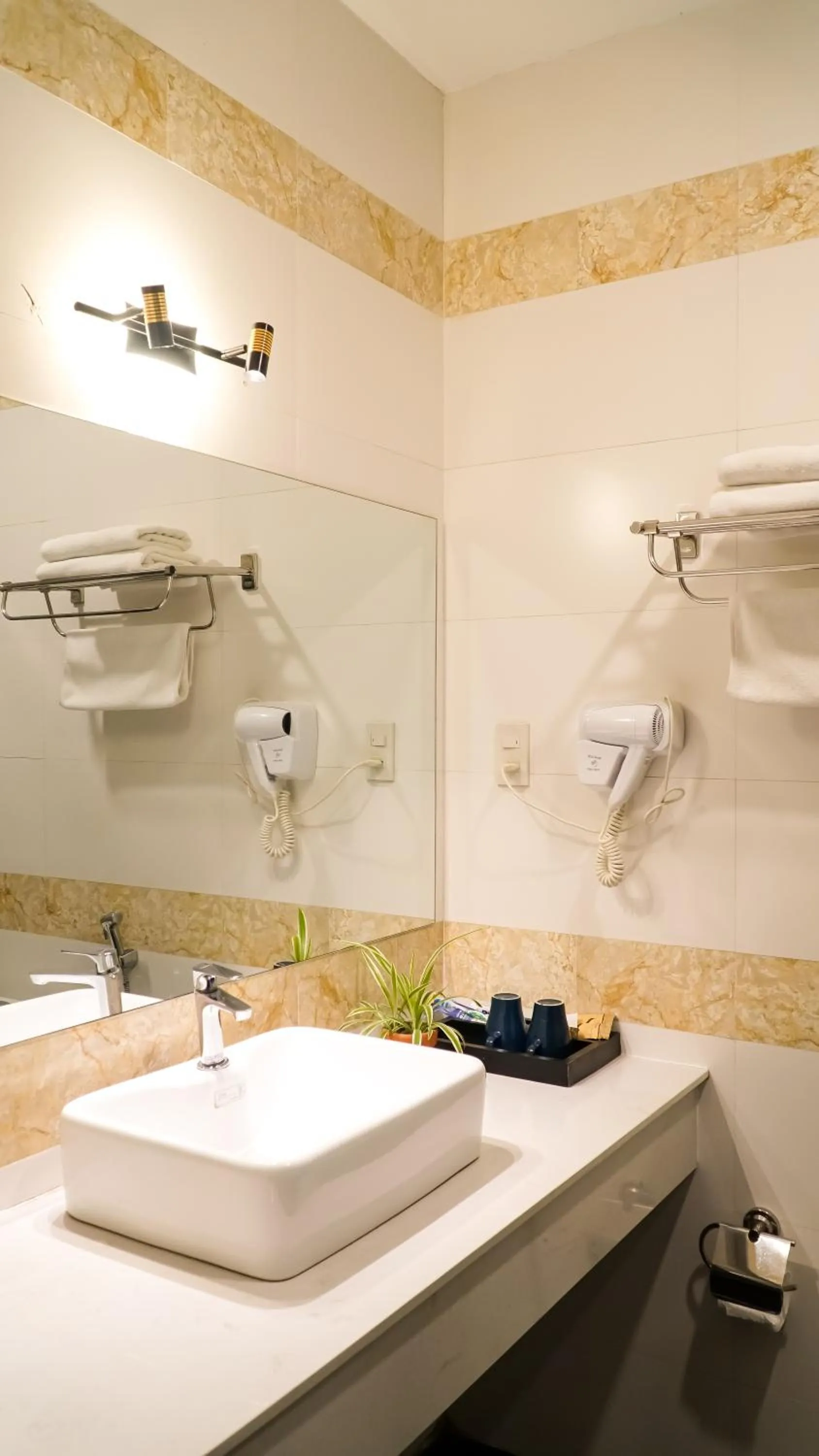 Shower in Bros Hotel