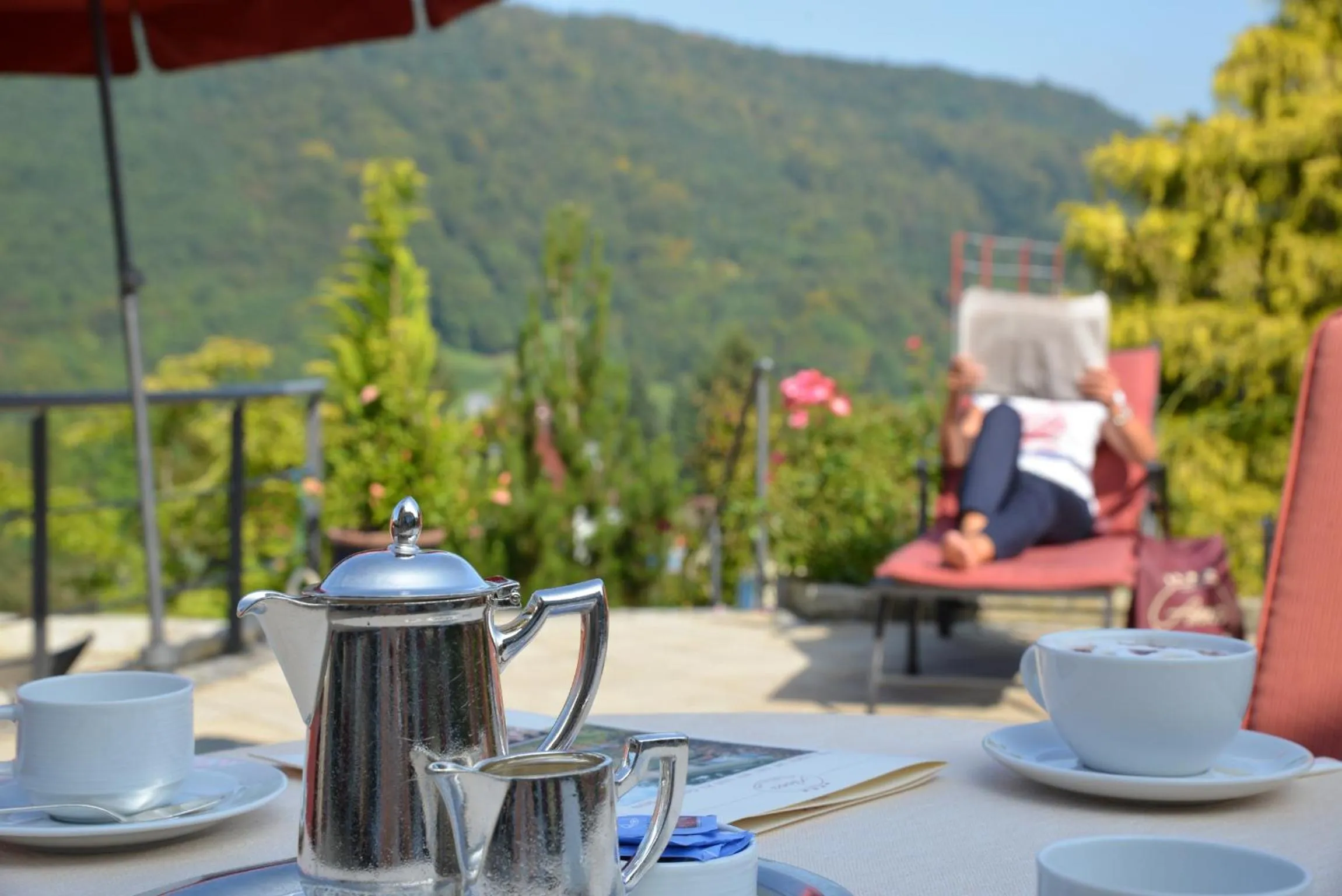 Garden in Hotel Anna