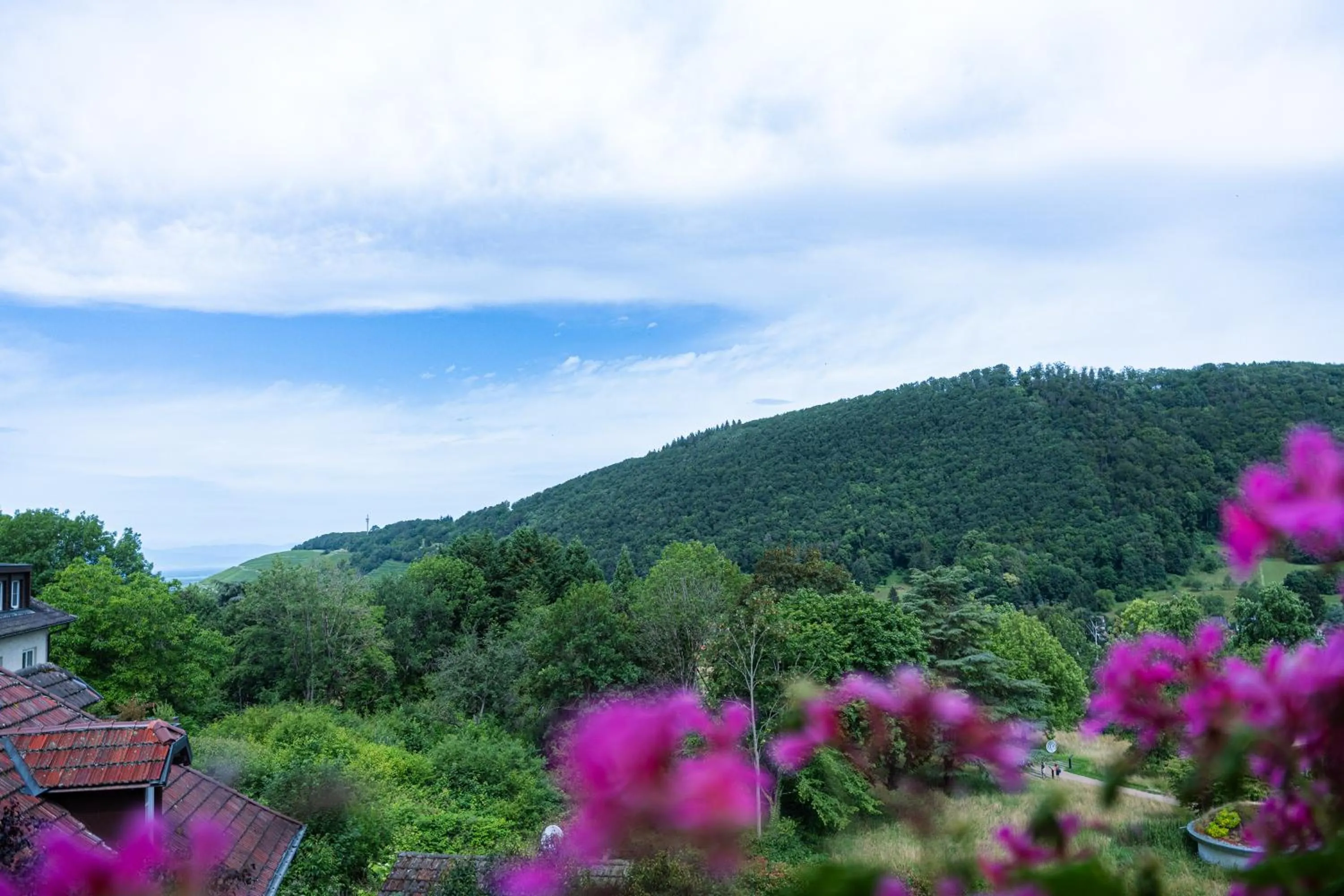 Photo of the whole room in Hotel Anna