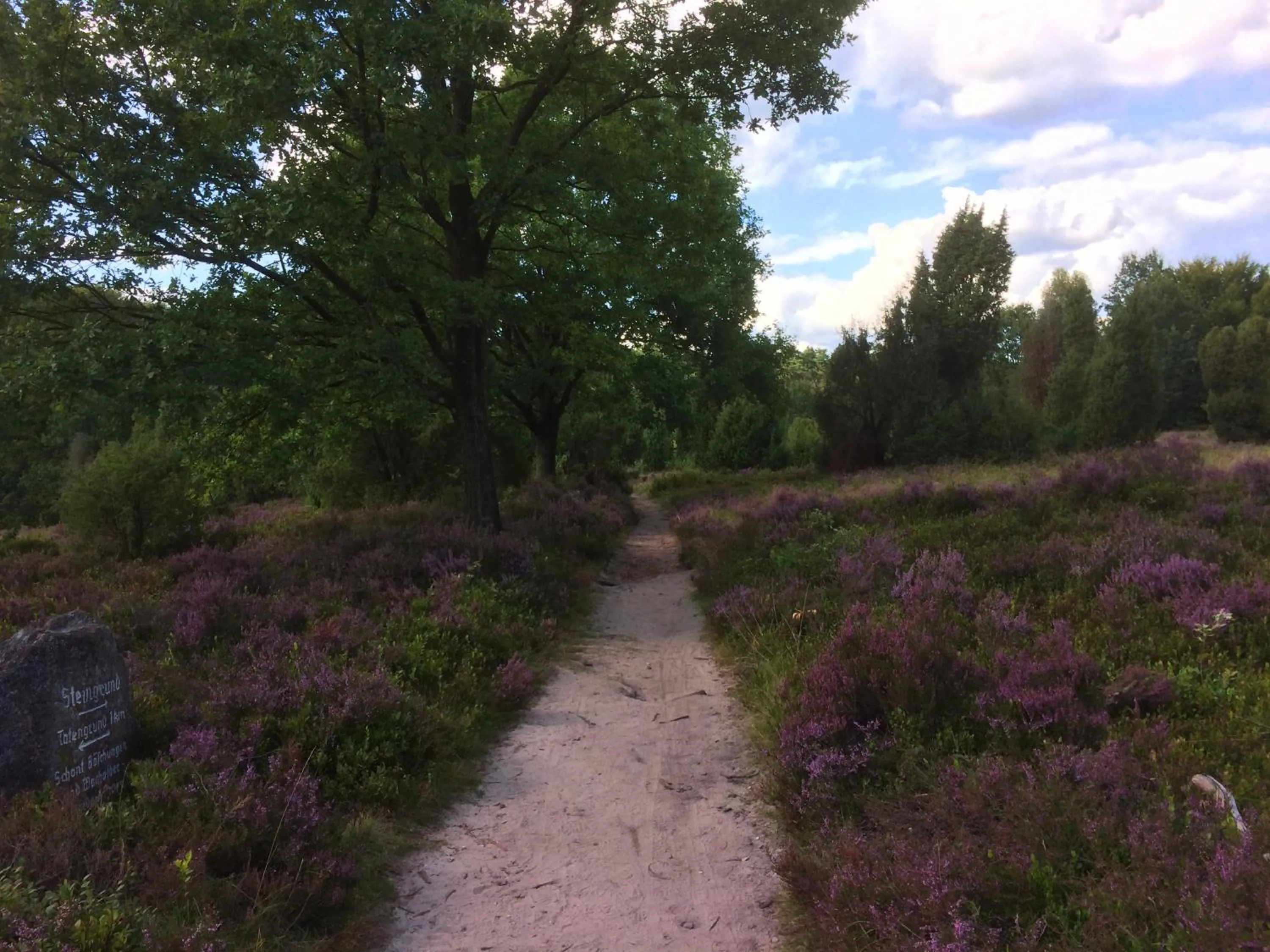 Residenzia Hotel Grenadier