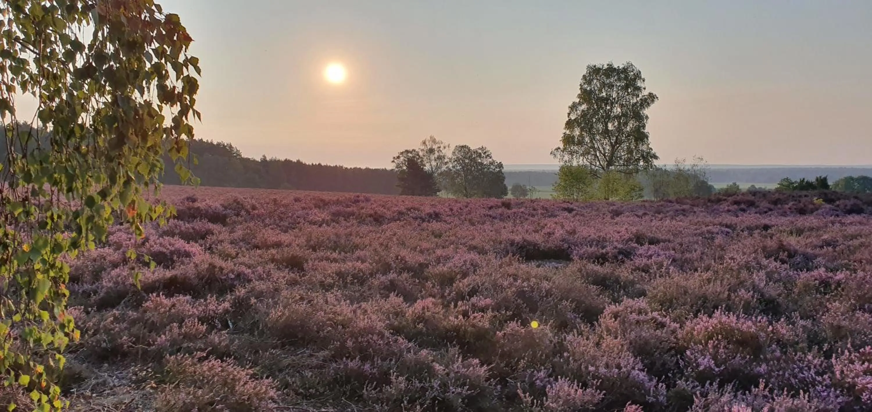 Residenzia Hotel Grenadier