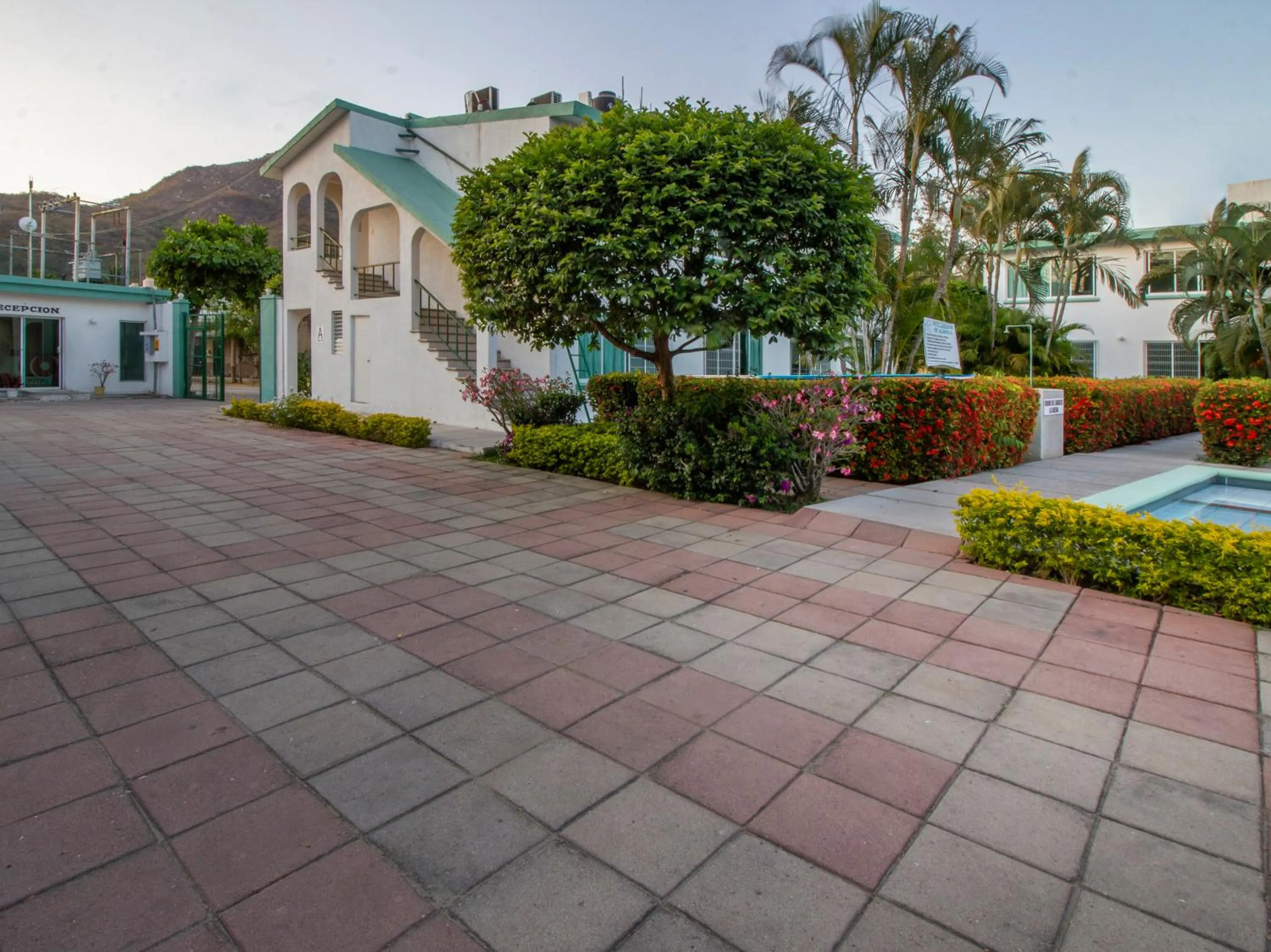 Balcony/Terrace in Hotel Parotas Manzanillo