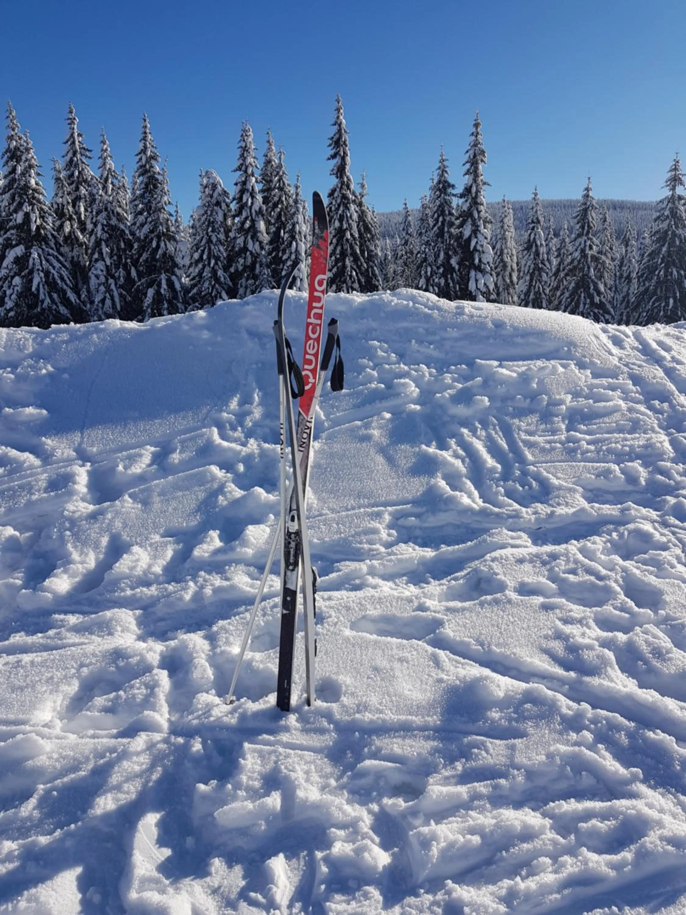 Natural landscape in Gasthof Alte Schmiede G*** Lückendorf