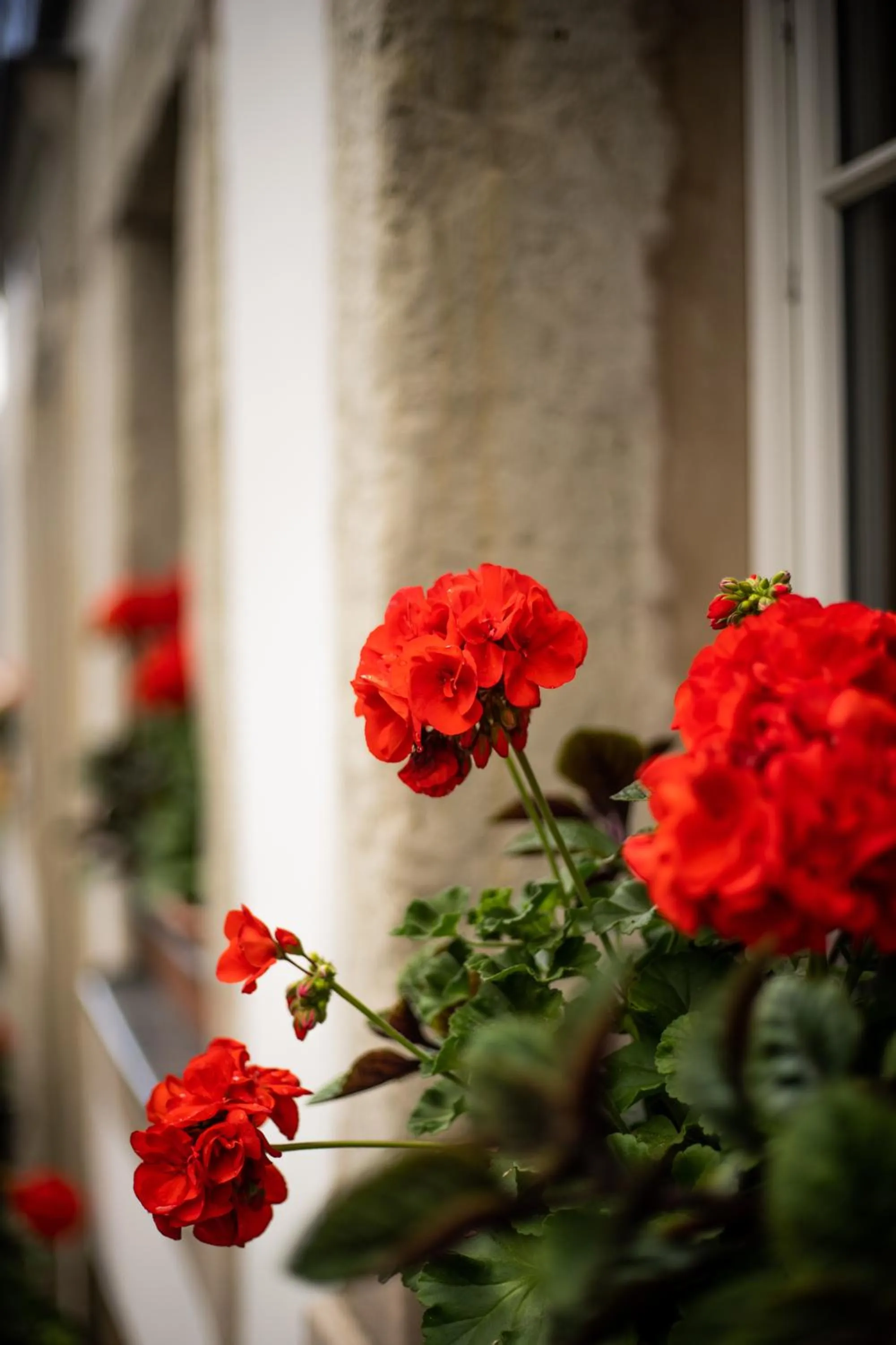 Garden in Gasthof Alte Schmiede G*** Lückendorf