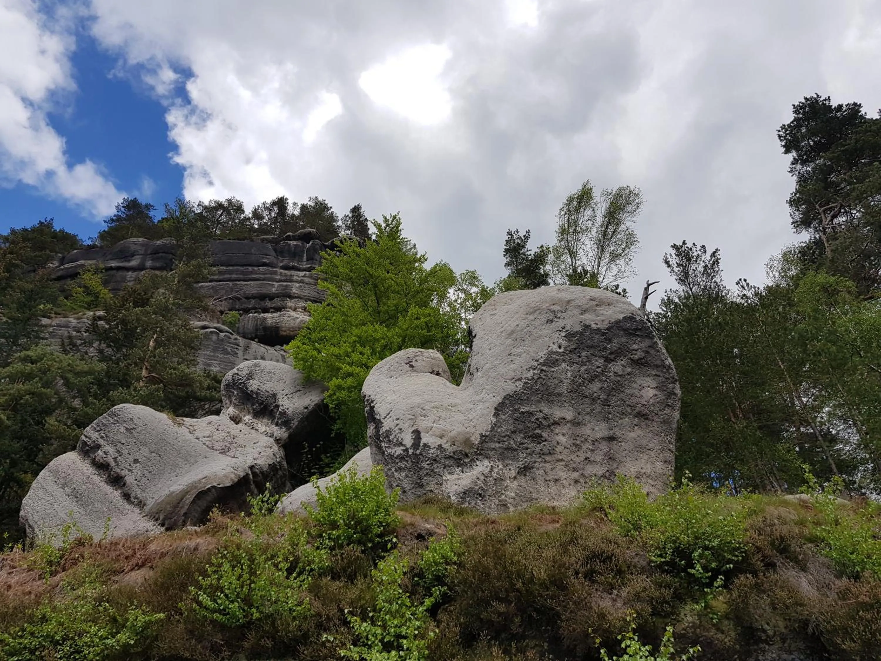 Natural landscape in Gasthof Alte Schmiede G*** Lückendorf