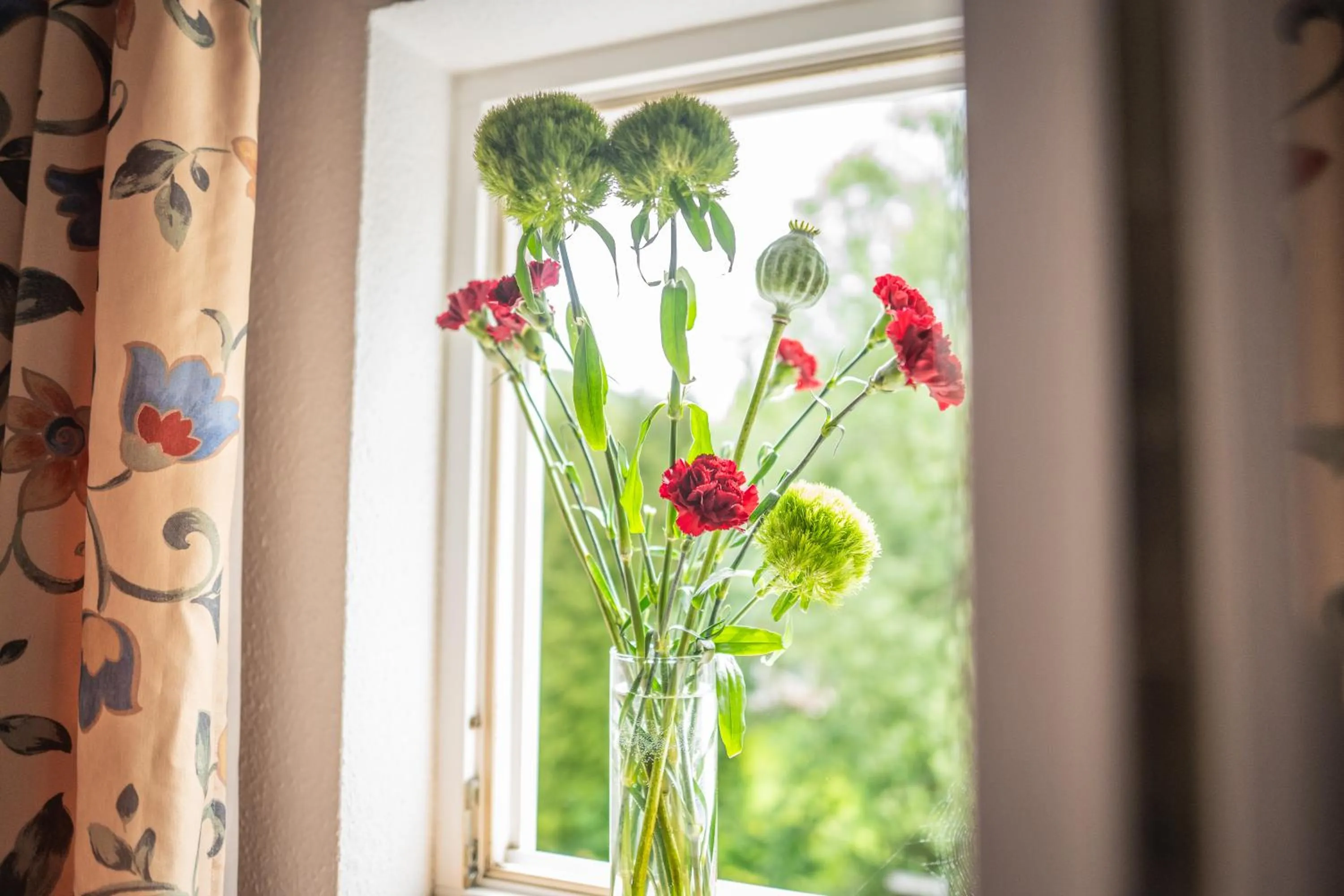 Photo of the whole room in Gasthof Alte Schmiede G*** Lückendorf